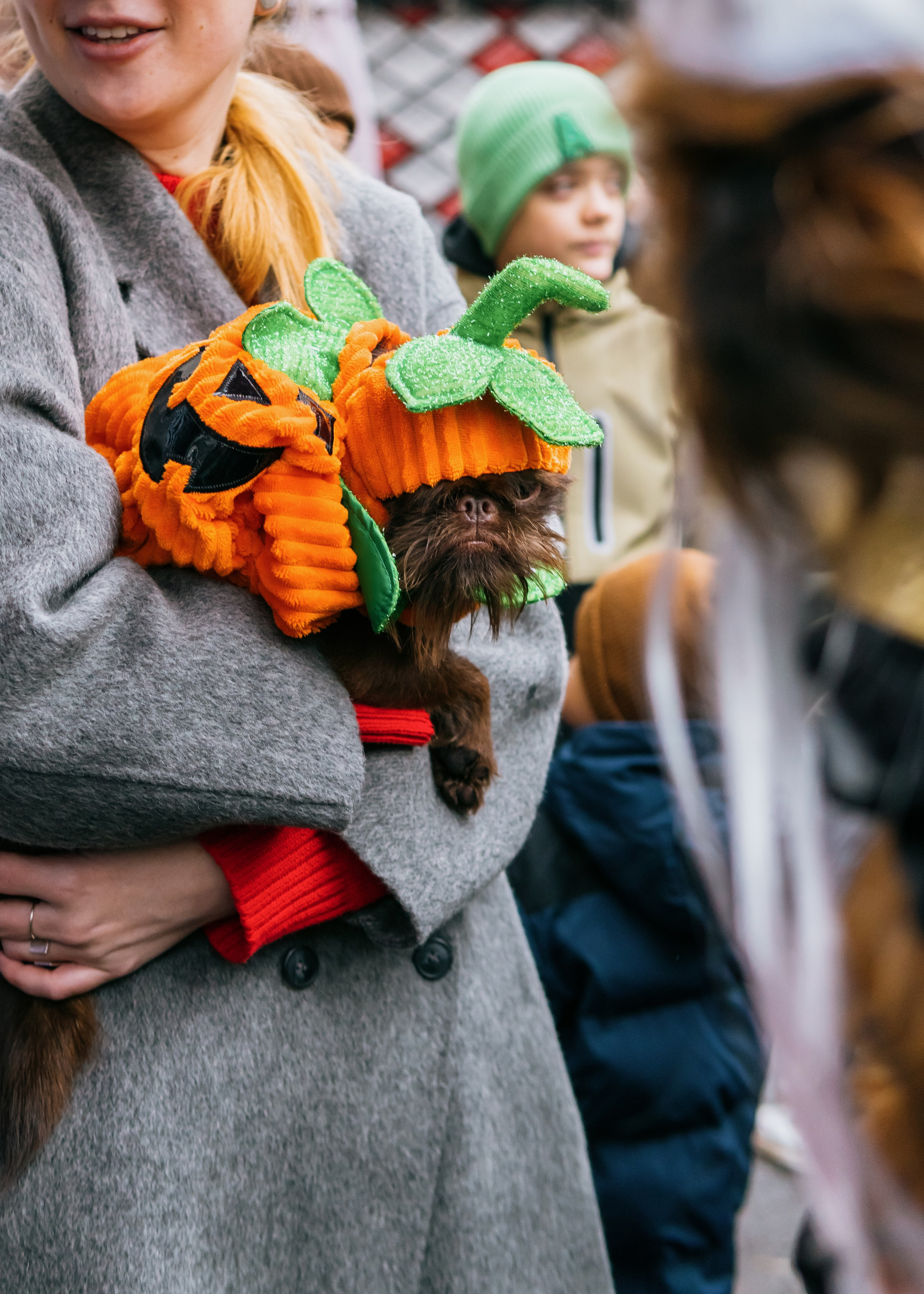 Тематическая встреча породников «Griffween». Фотограф-анималист Ксения Воробьева, Москва