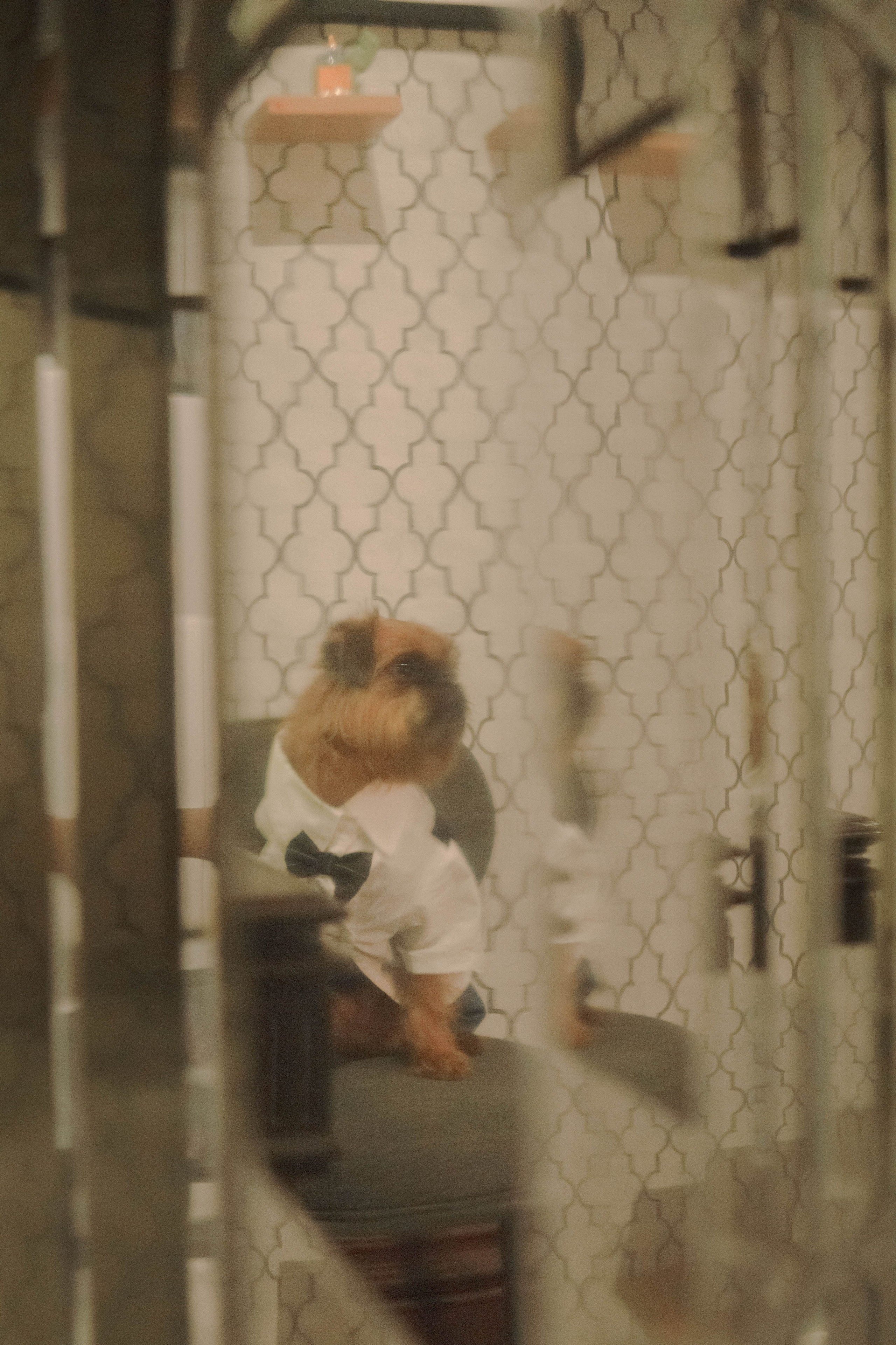 Наташа и Хавьер. Фотограф-анималист Ксения Воробьева, Москва