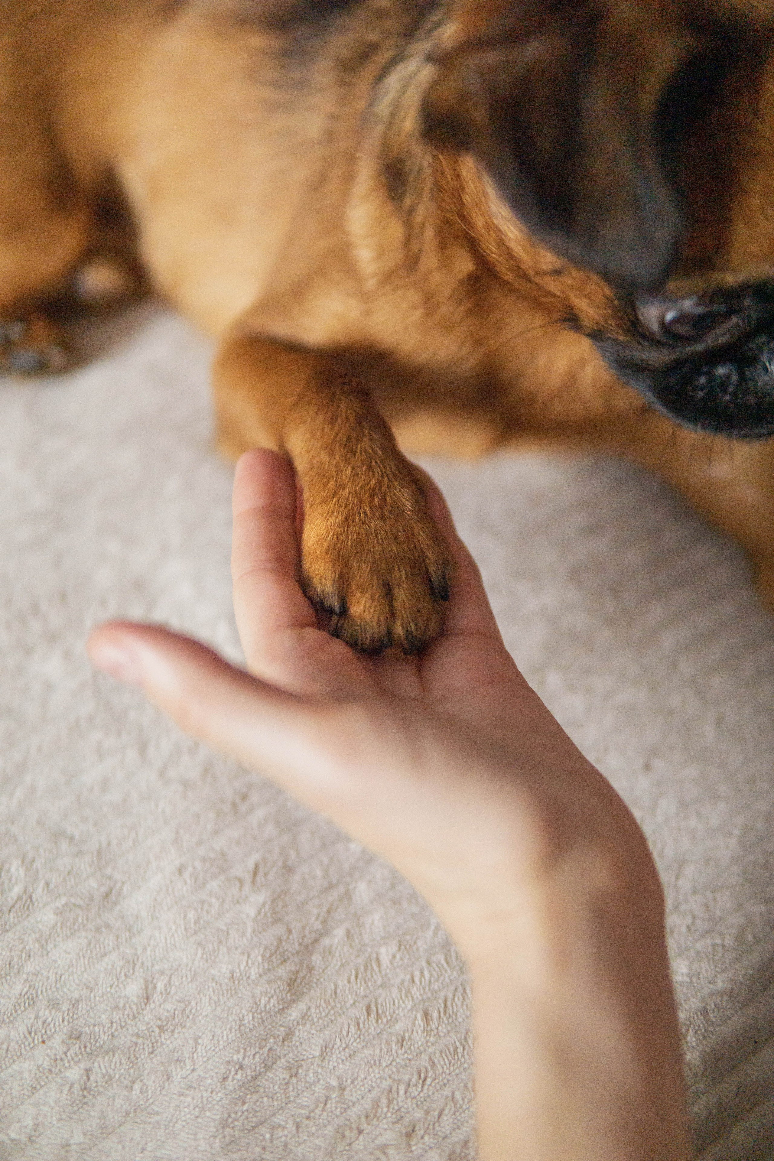Надя и Ефим. Фотограф-анималист Ксения Воробьева, Москва