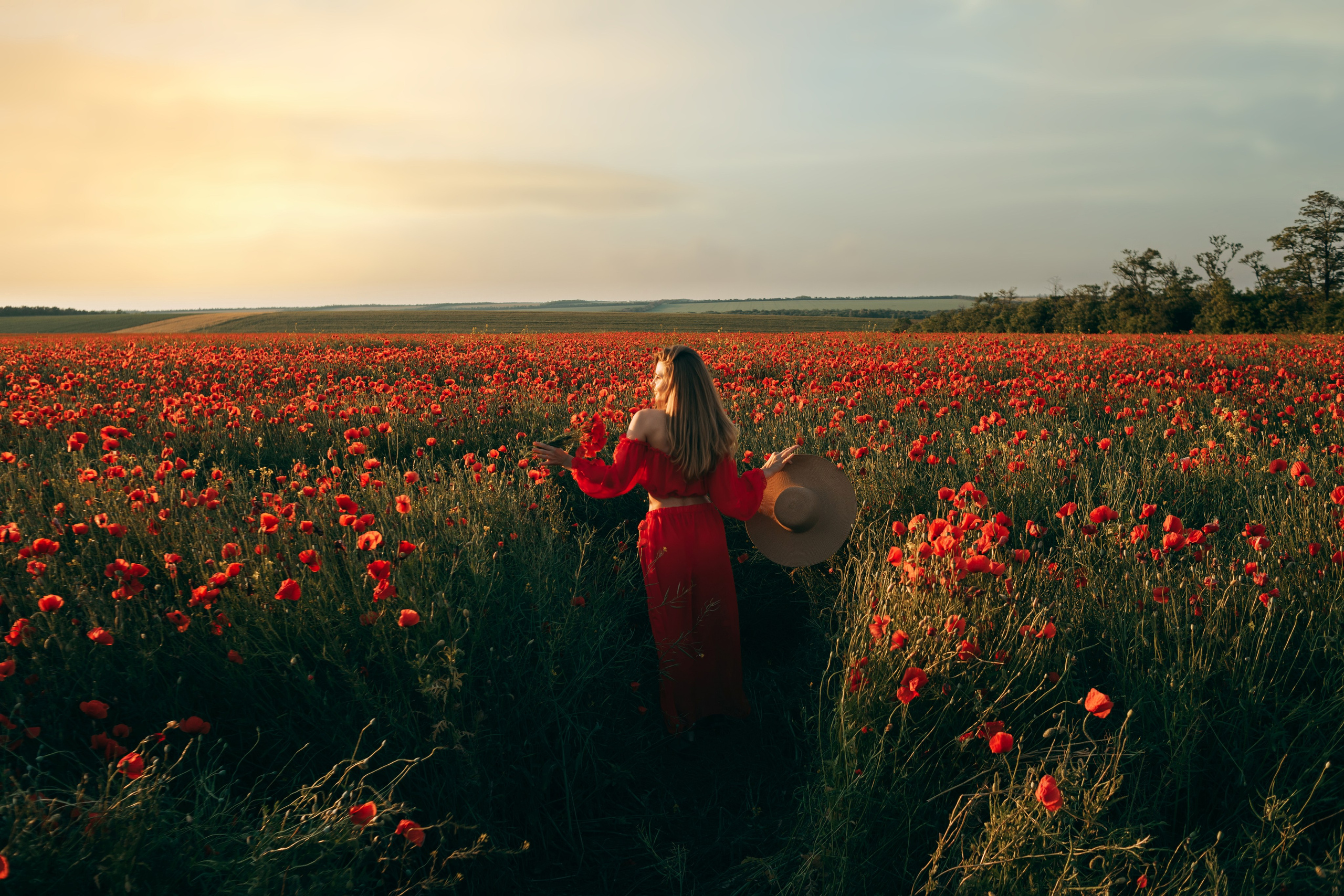 Фотосессия в маковом поле на закате. Свадебный и семейный фотограф в Краснодарском крае Мария Данилкина