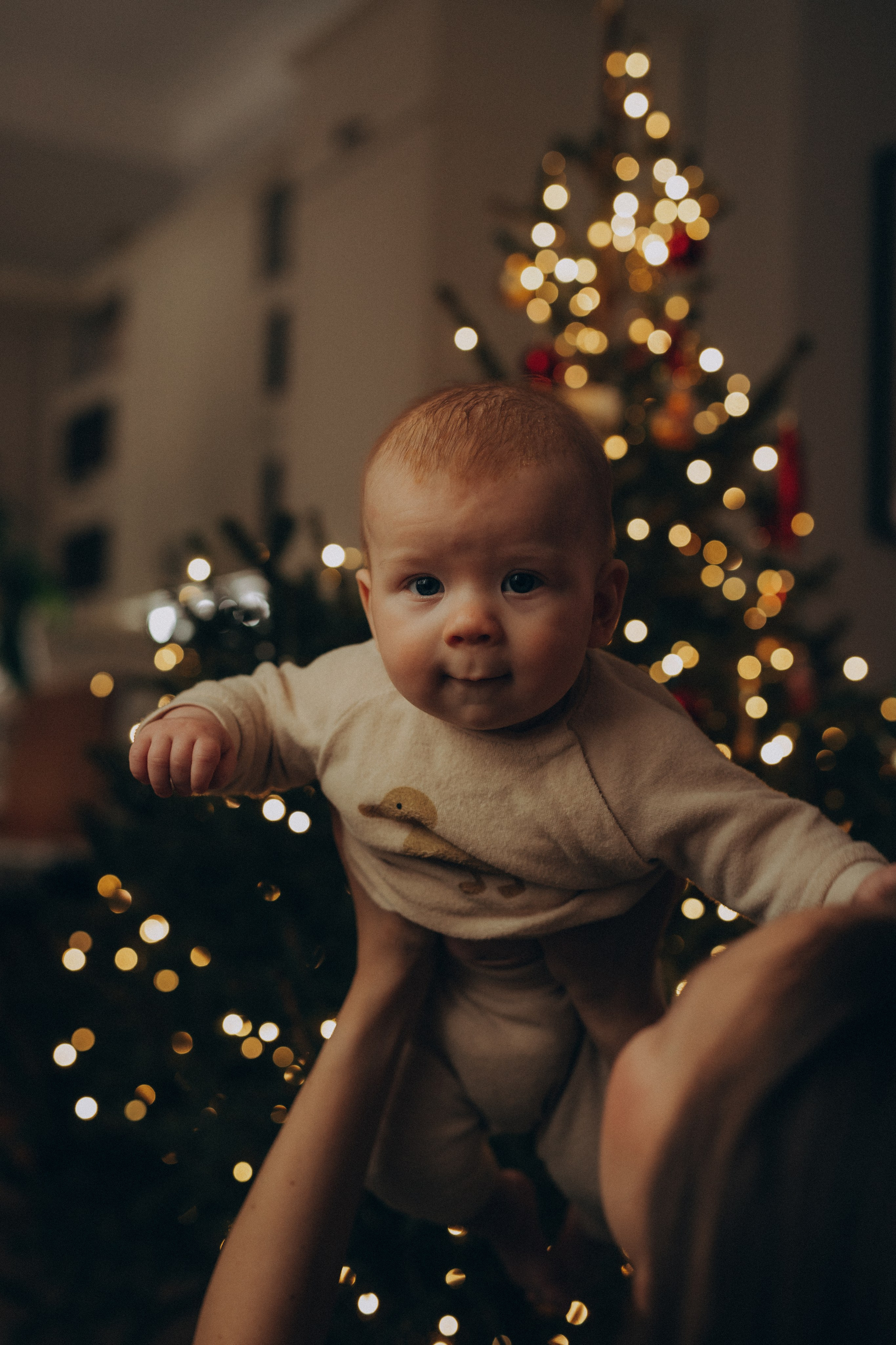 Lifestyle New Year малыши. Фотограф новорожденных в Ярославле Ольга Зимина