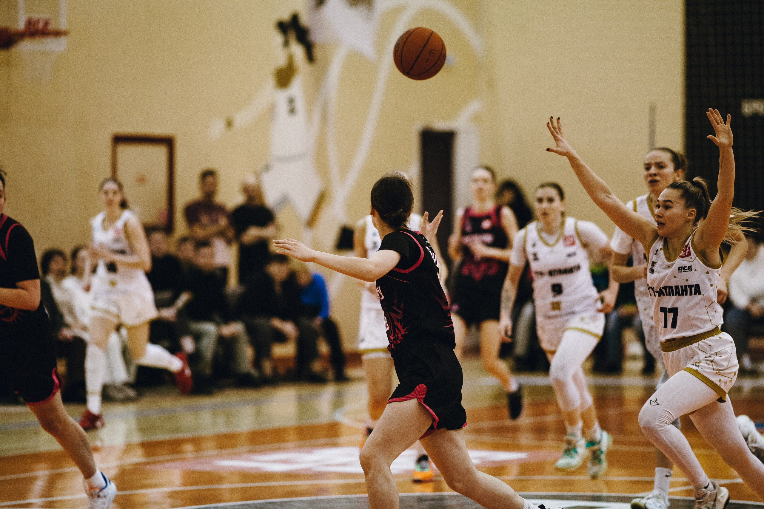 ЧГУ-Атланта — Ростов-ЮФУ / 2 игра. Фотография