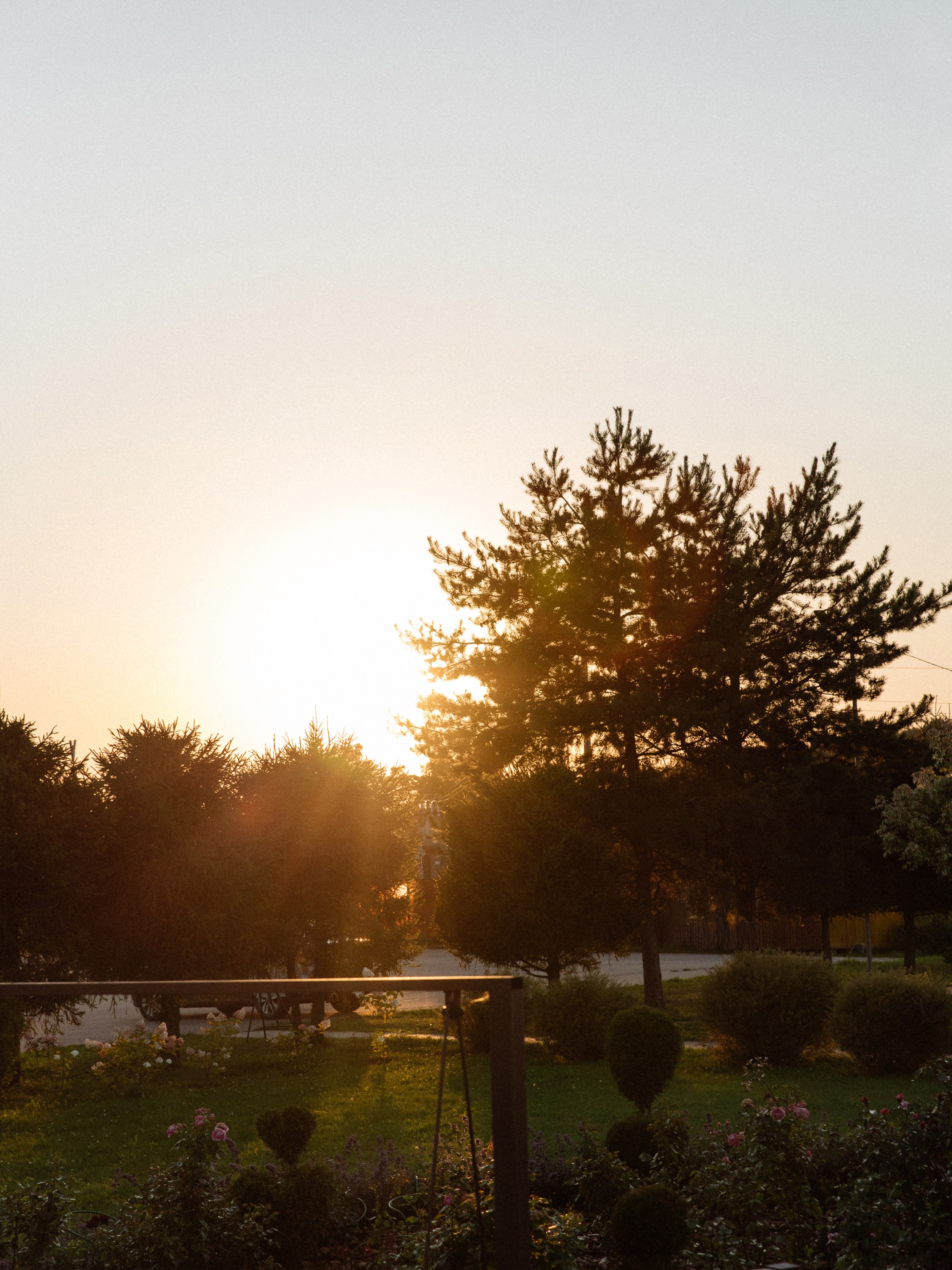 Клевер. Свадебный фотограф Дмитрий Воробьев Ярославль