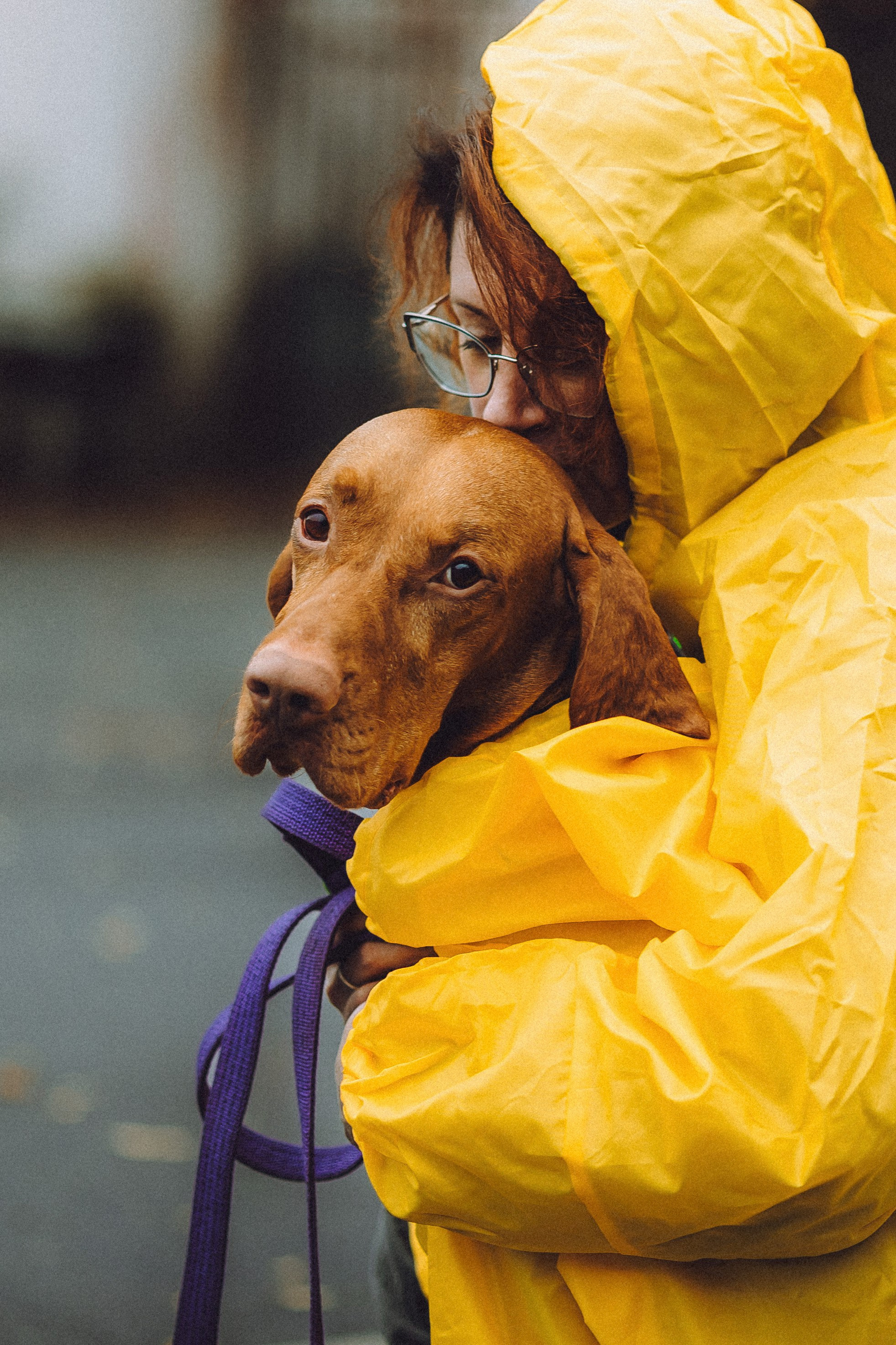 Екатерина и Даня