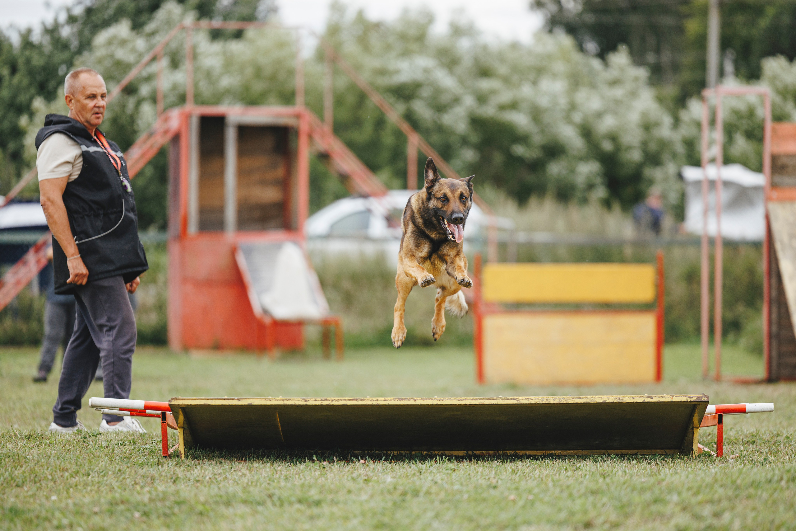 08.08.25-10.08.25 ЧР по мондьорингу г. Вологда. Фотограф-анималист Анна Маринич