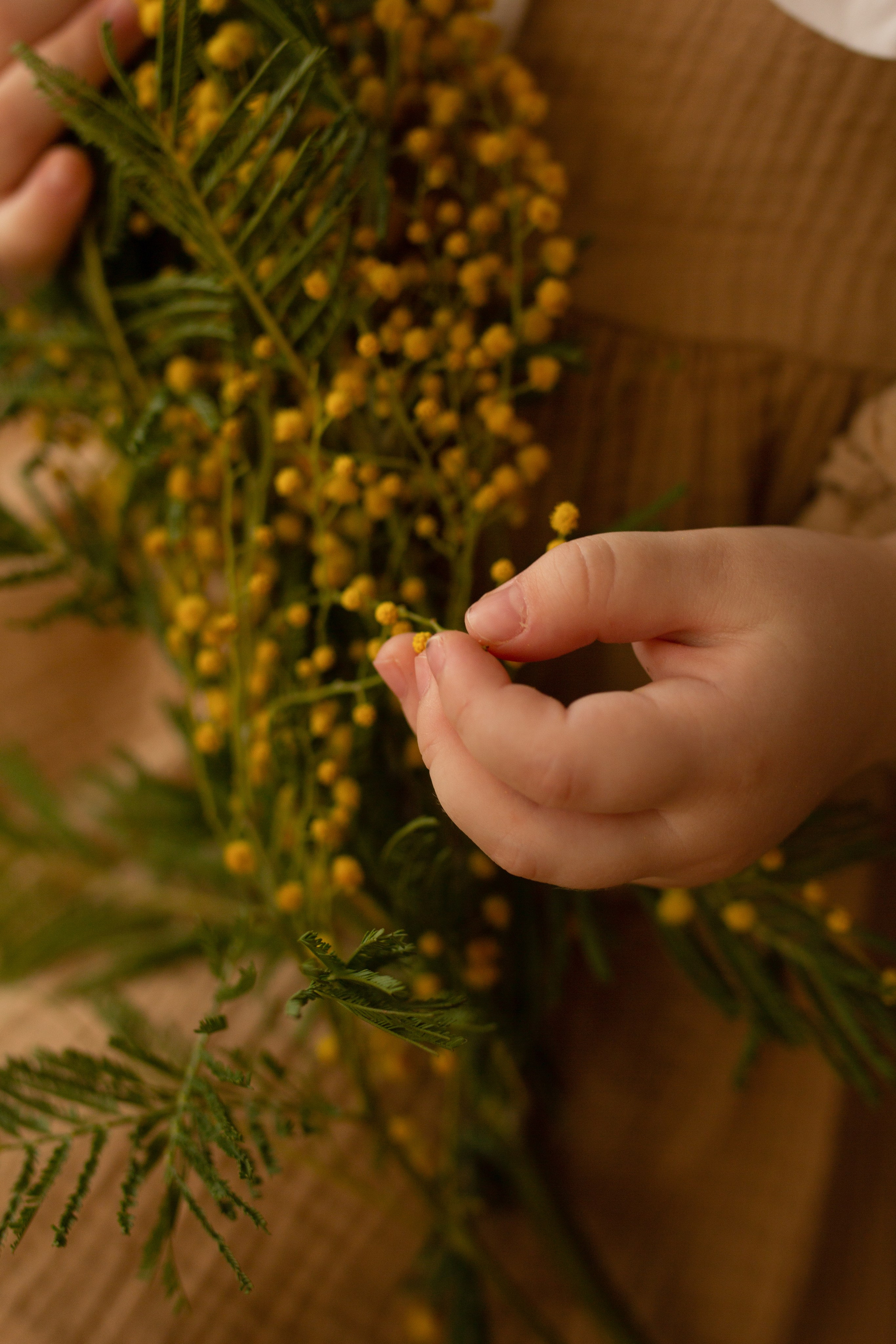 Детская съемка. Семейный фотограф в Железногорске