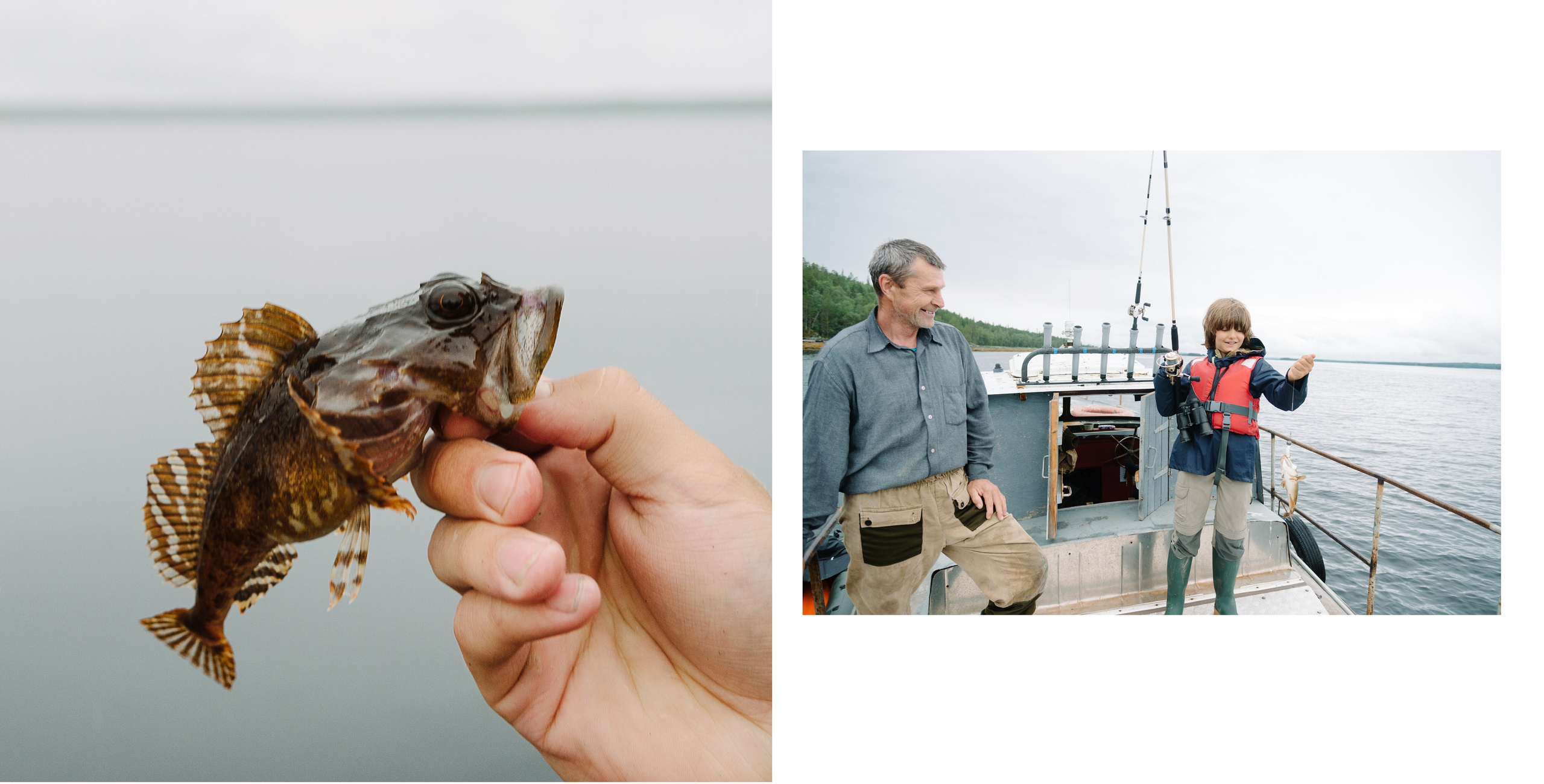 Белое море. Фотограф Алиса Калинина