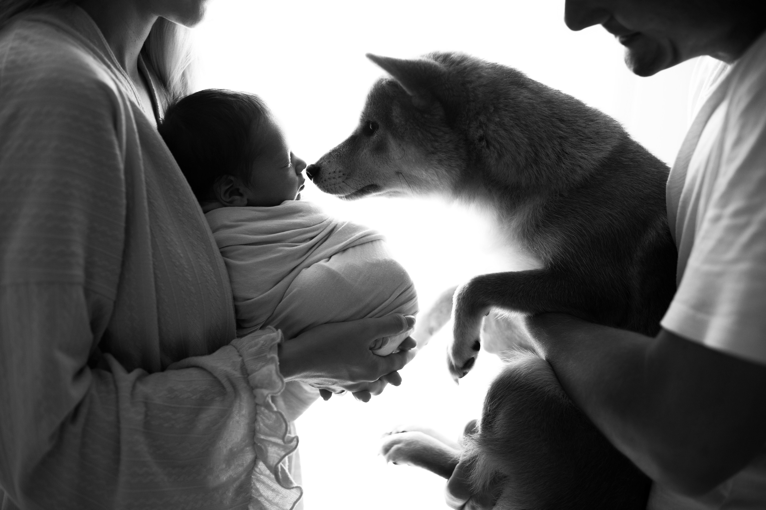 Семейные Life style. Фотограф новорожденных в Москве Кристина Ткач