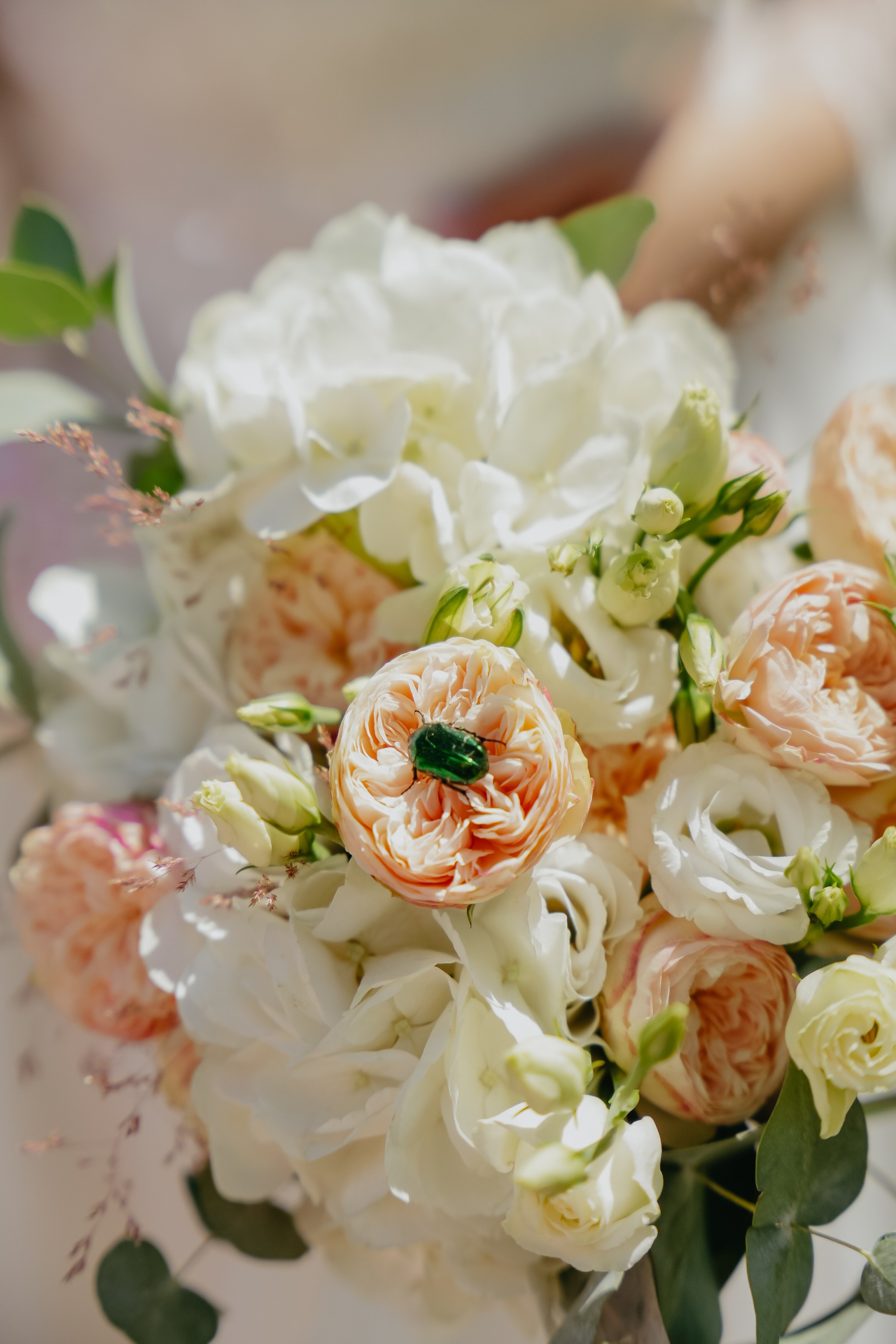 Тихон и Ольга