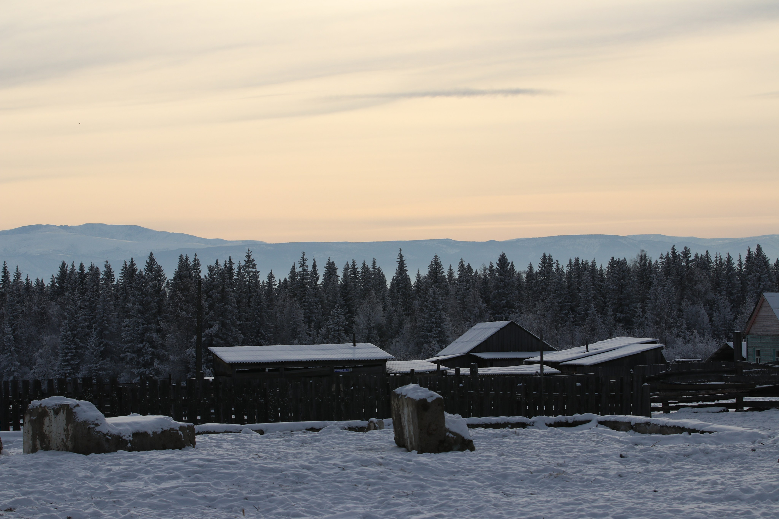 Аршан. Январь 2024. Путешественник-фотограф из Санкт-Петербурга Татьяна Свистулина