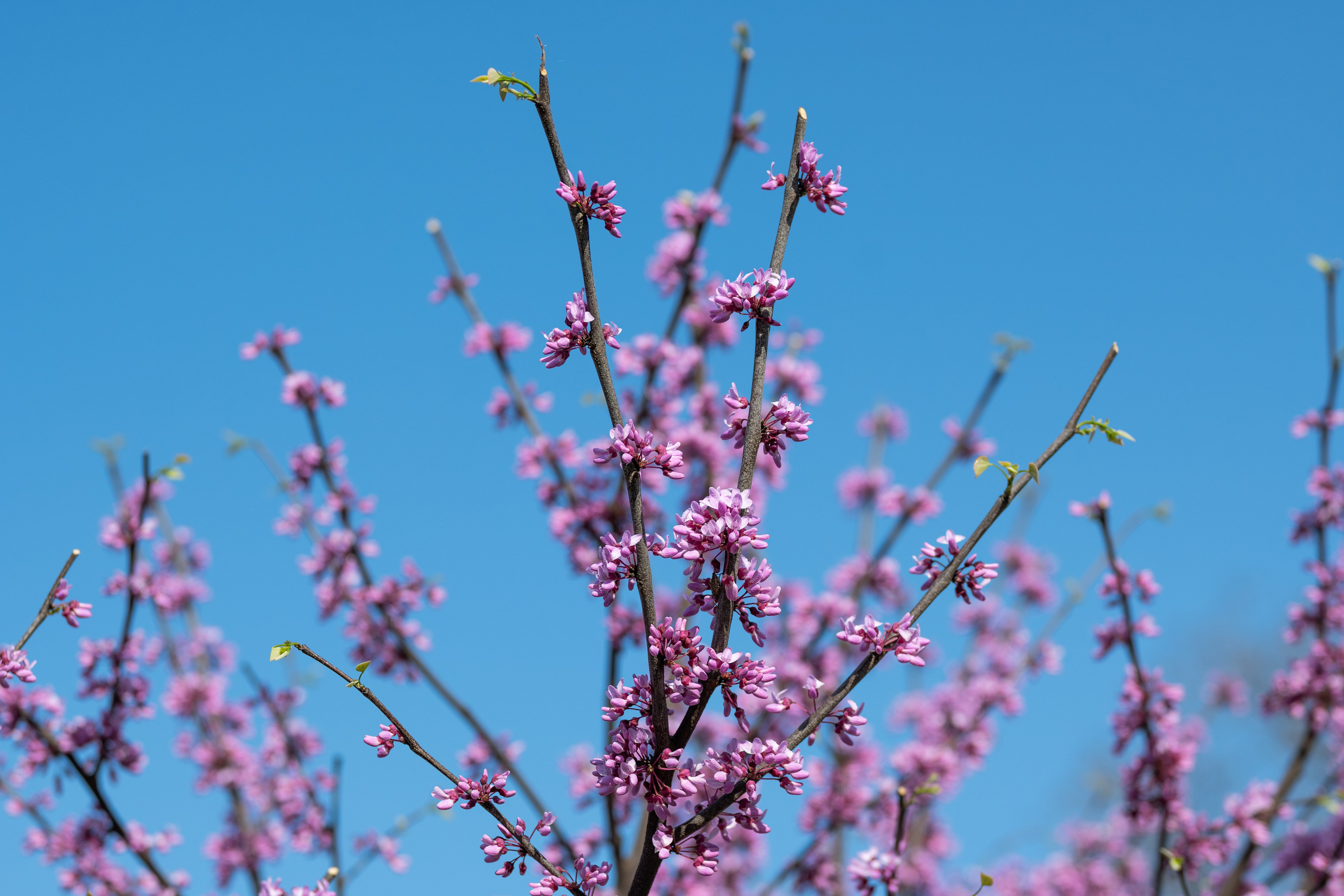 Окружение через объектив