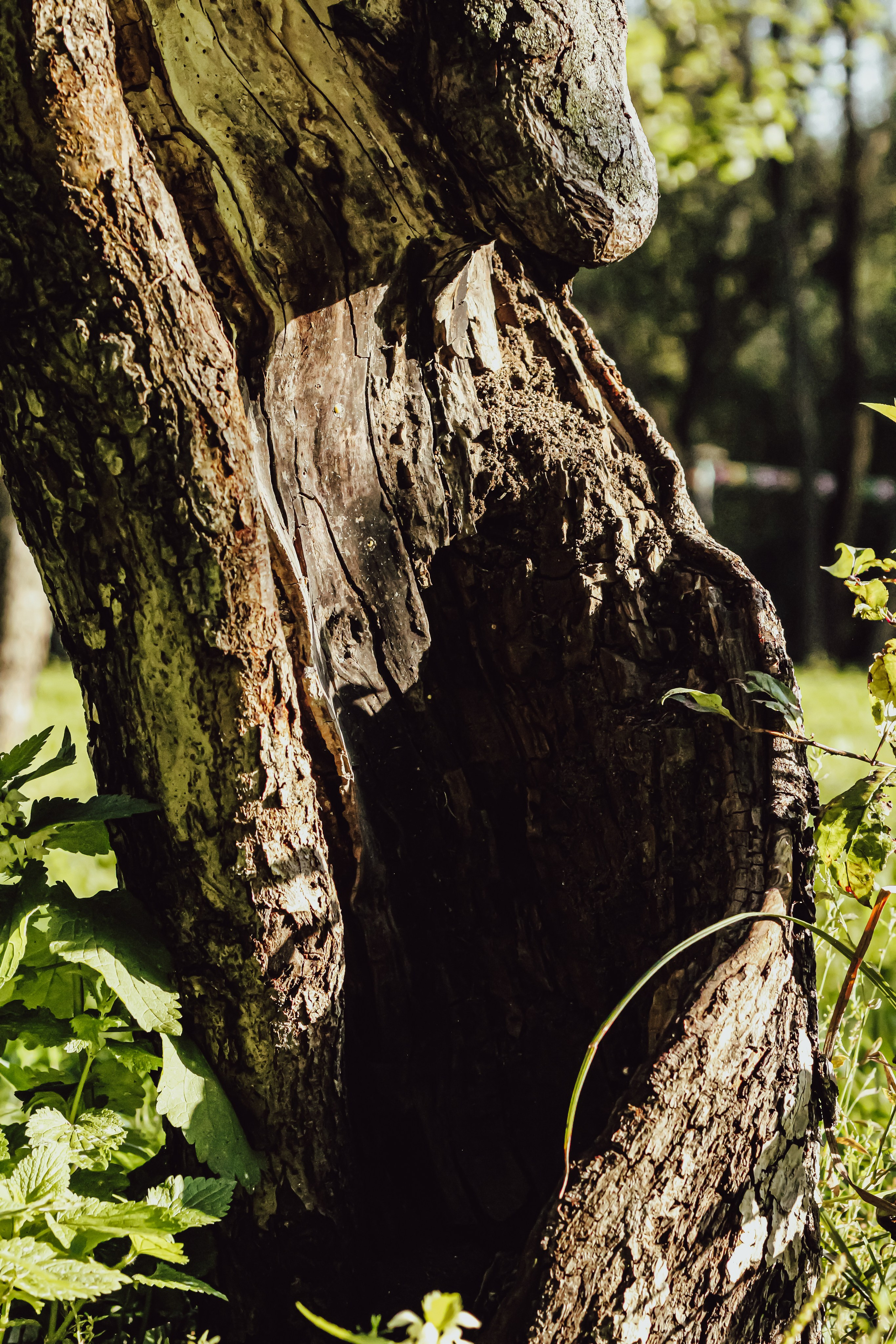 Парк у дома. Фотограф Москва, портрет, стрит, репортаж. Художественная фотосессия