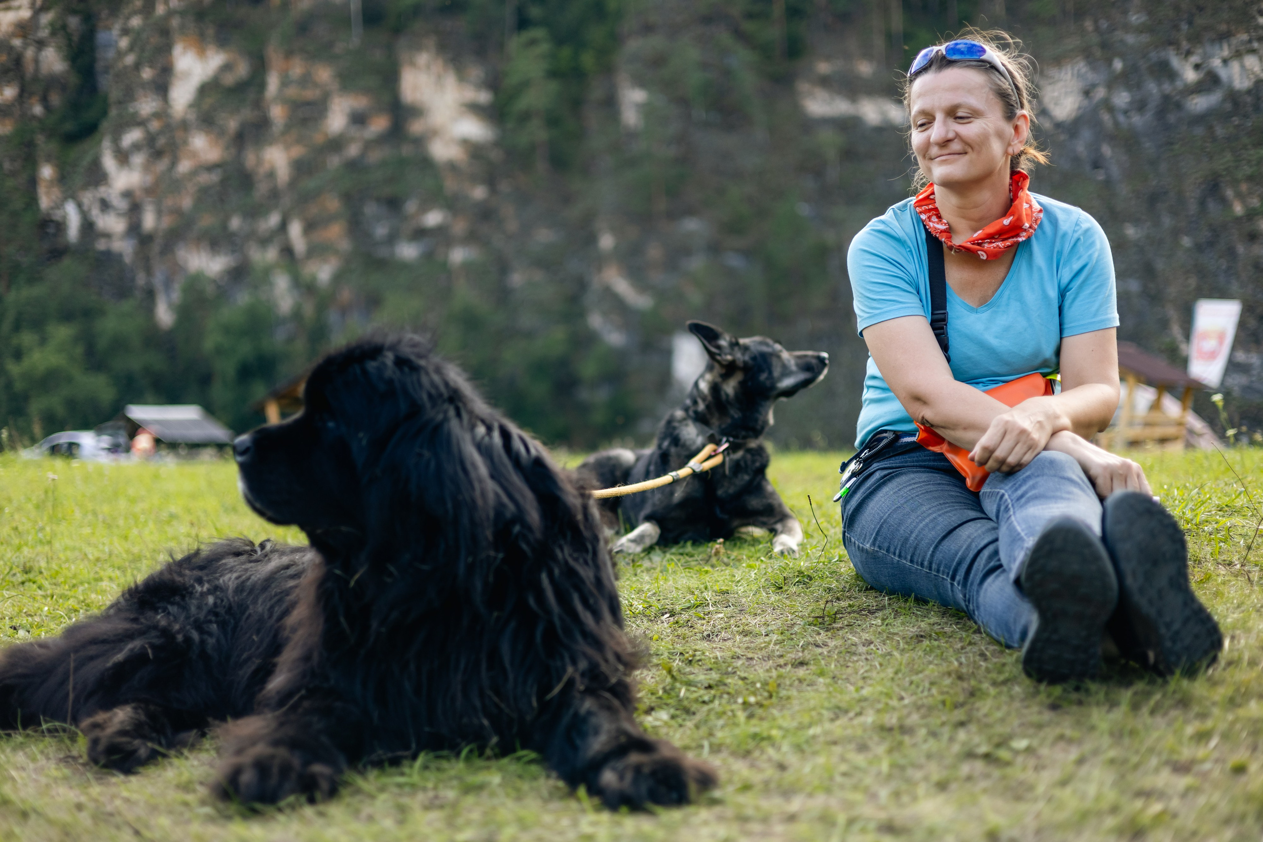 VI ОТКРЫТЫЕ КИНОЛОГИЧЕСКИЕ СОРЕВНОВАНИЯ. ЧЕЛЯБИНСКАЯ ОБЛАСТЬ 2025. Репортажный фотограф Наталья Лапцевич