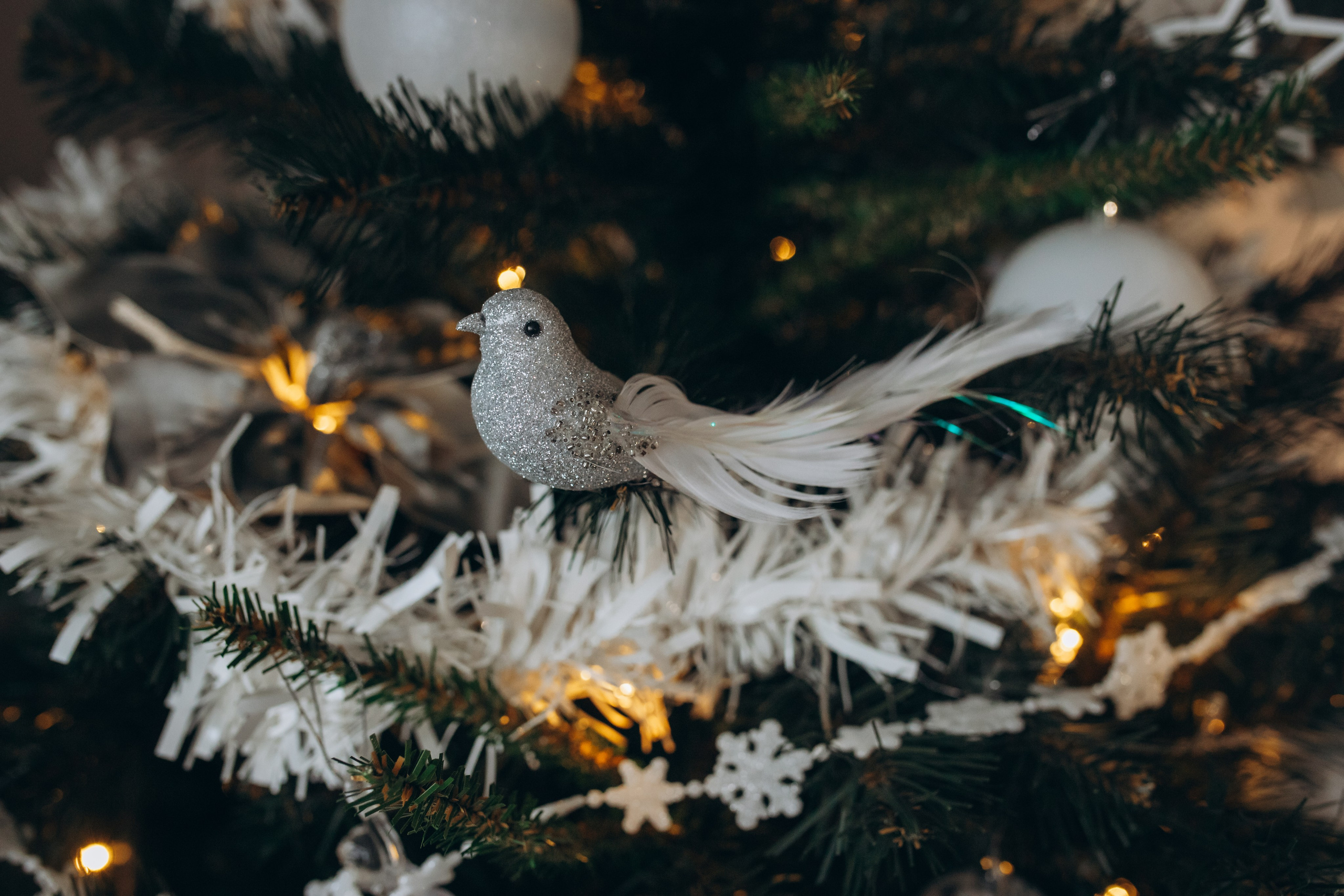 Татьяна, Захар, Миша. Семейный и домашний фотограф в Москве и МО Королева Валерия