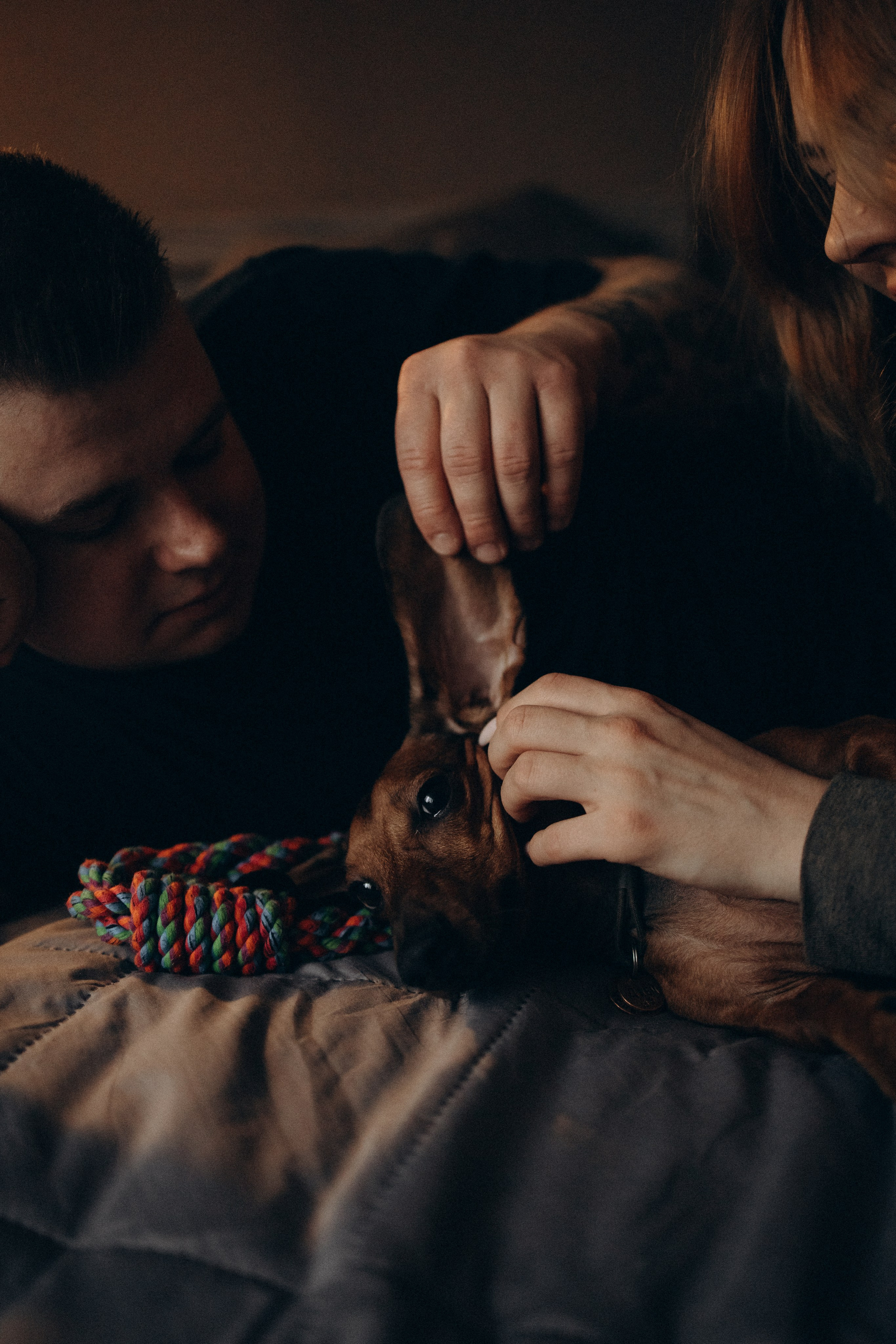 Маша и ее семья. Фотораф — анималист Мария Шистка