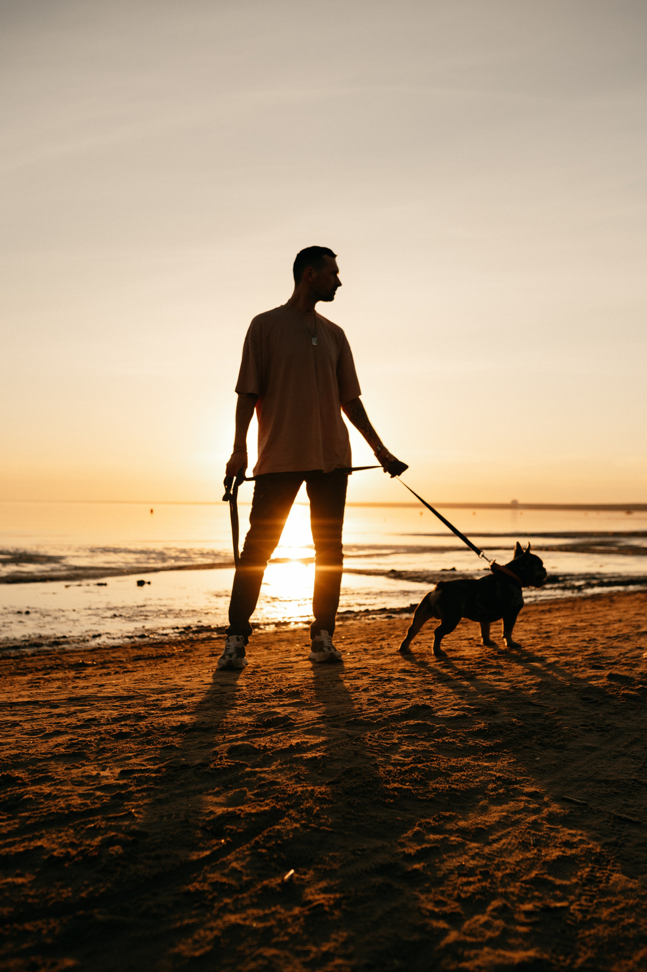 Коля и Бакс. Фотограф анималист в Москве Ольга Агушева