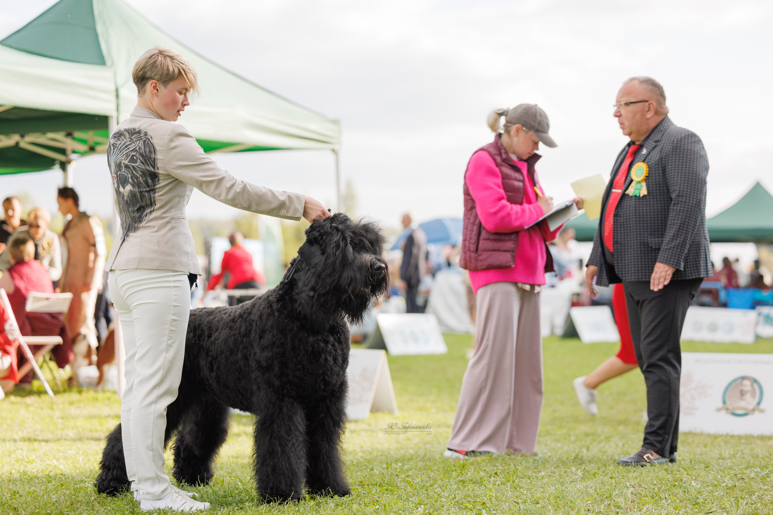 Переславль 5-7.08.2025. Фотограф-анималист Юлия Германика