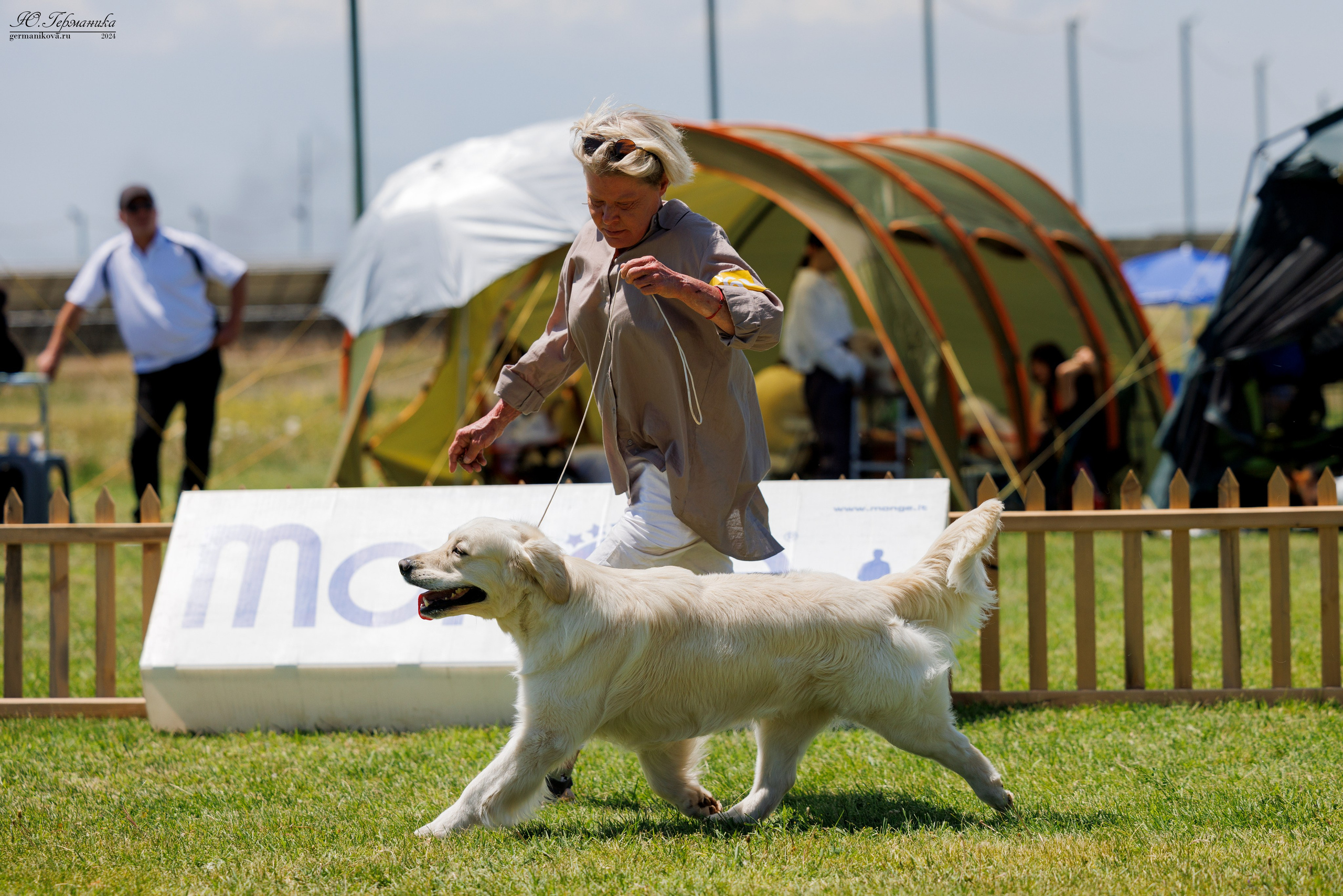 Ереван 3-5.06.2024. Фотограф-анималист Юлия Германика