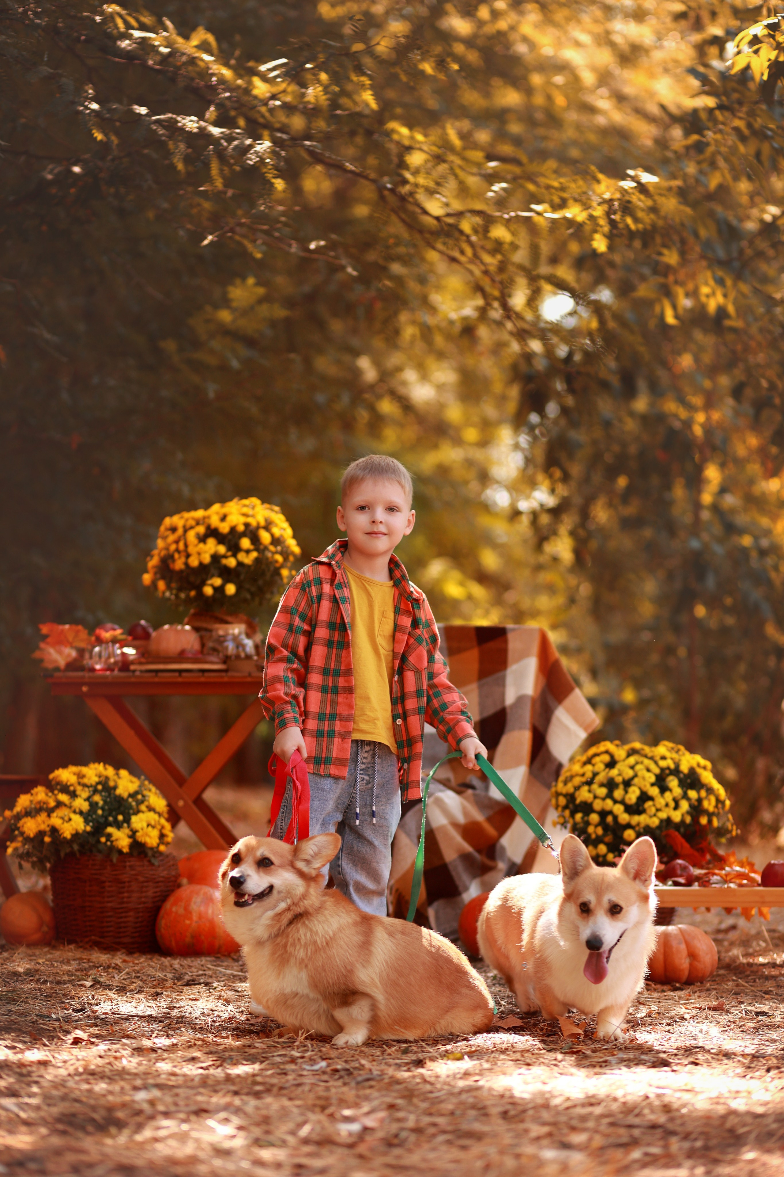 Пикник в парке. Детский семейный фотограф Краснодар