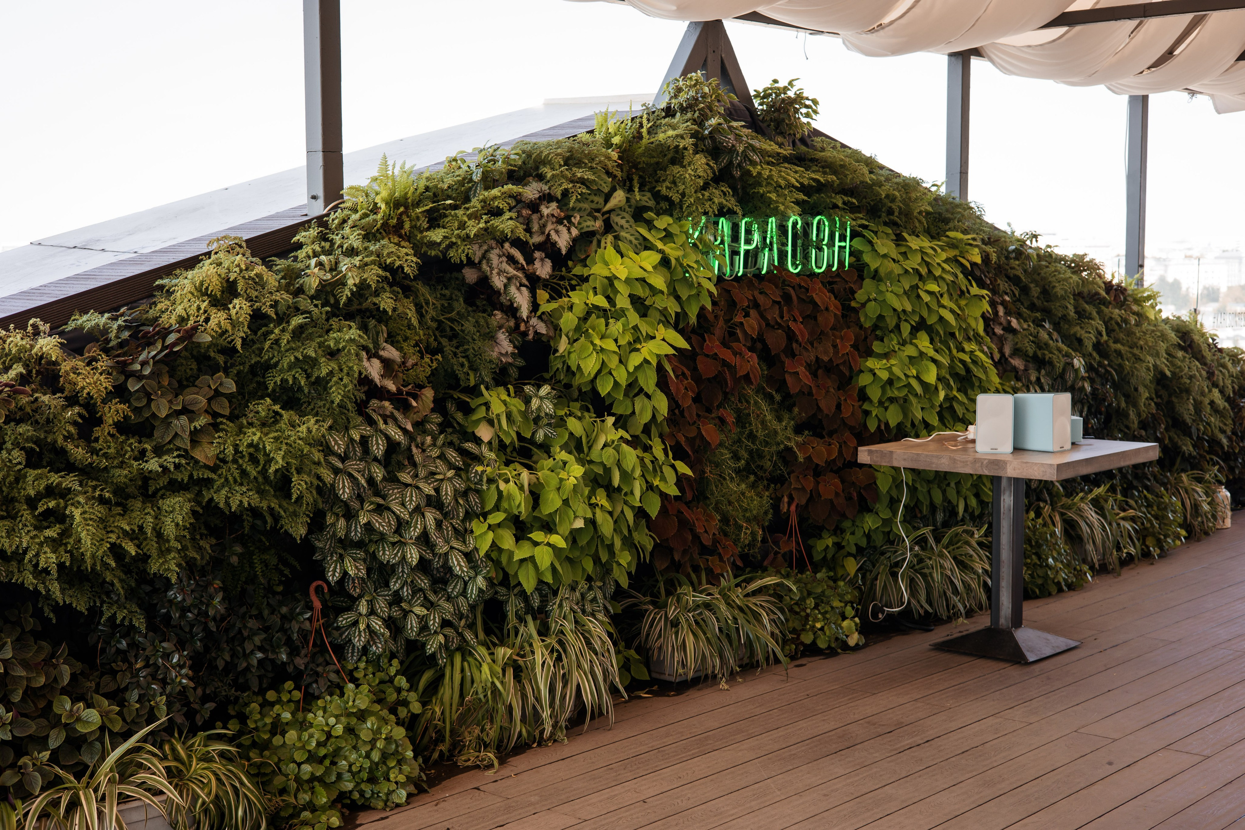 ЗАГСы — Отели — Места для фотосессии (подборка). Свадебный и репортажный фотограф (Москва, Королев и другие)