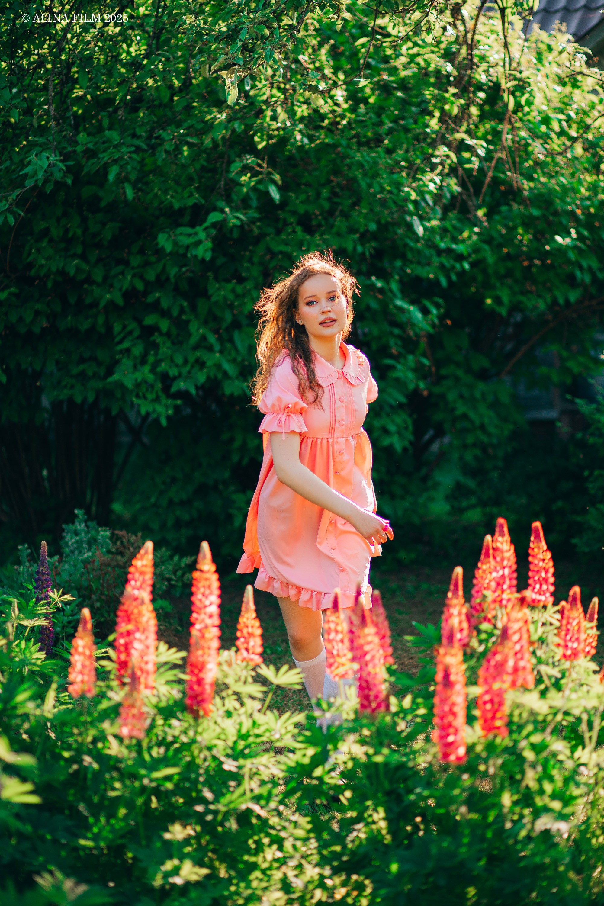 Фотосессия в Люпинах (Ленобласть, Сертолово). Фотограф в Санкт-Петербурге Alina Film