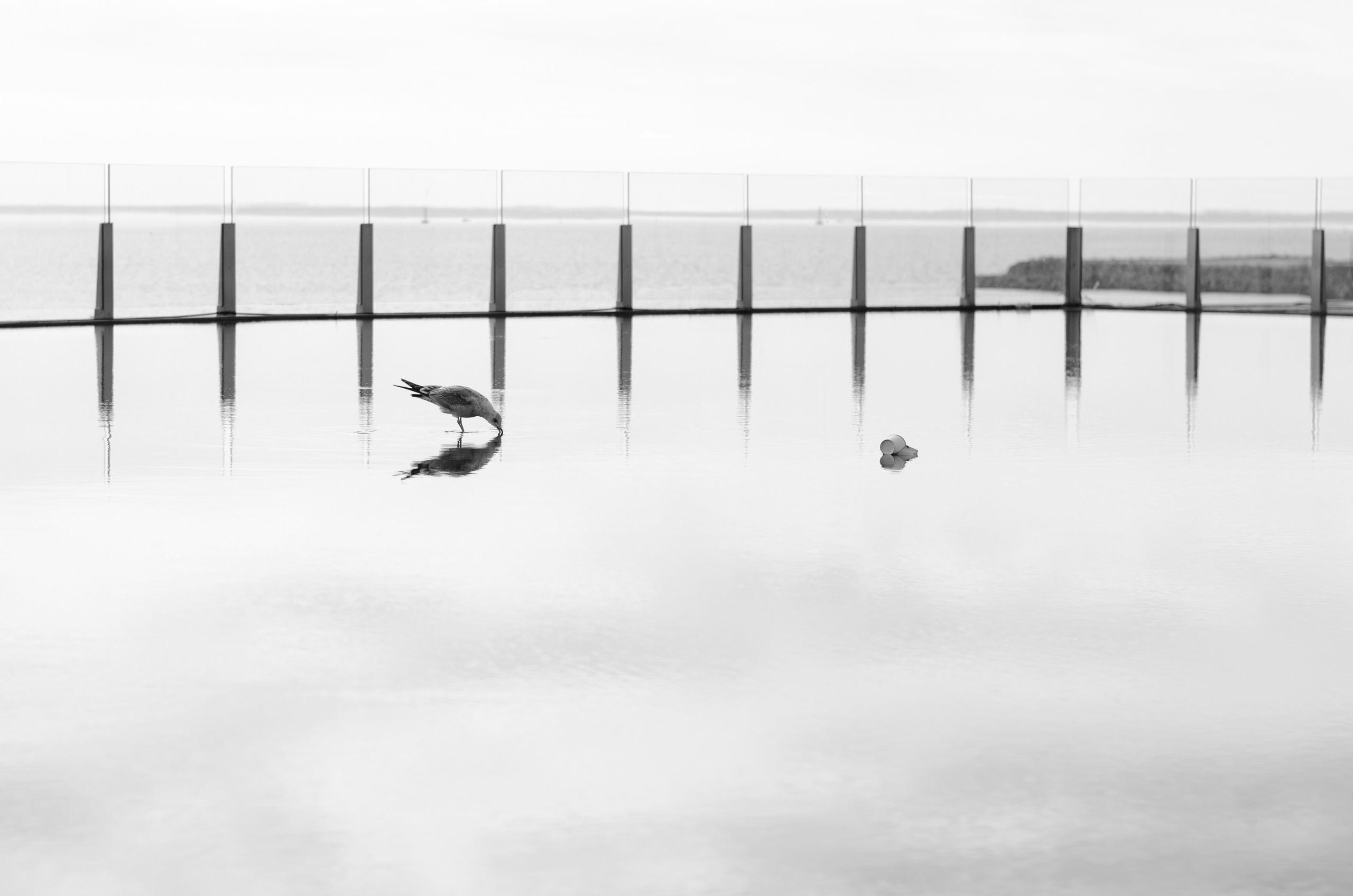 Портретный и репортажный фотограф в Санкт-Петербурге Варвара Жукова
