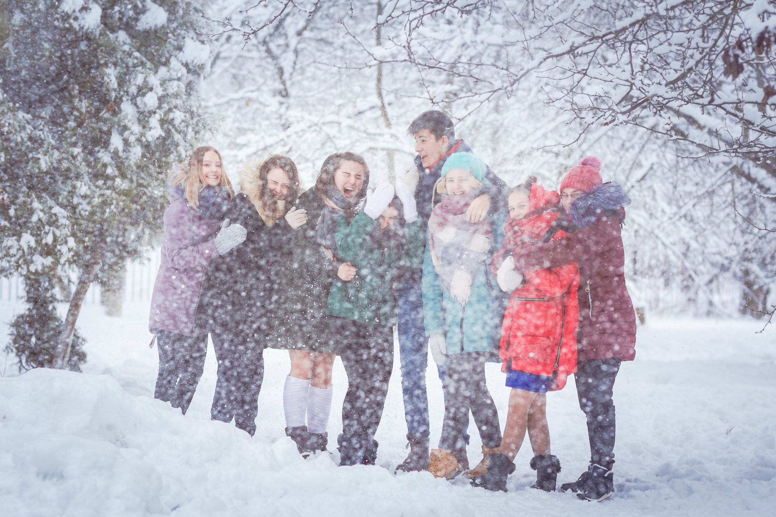 Зимняя прогулка