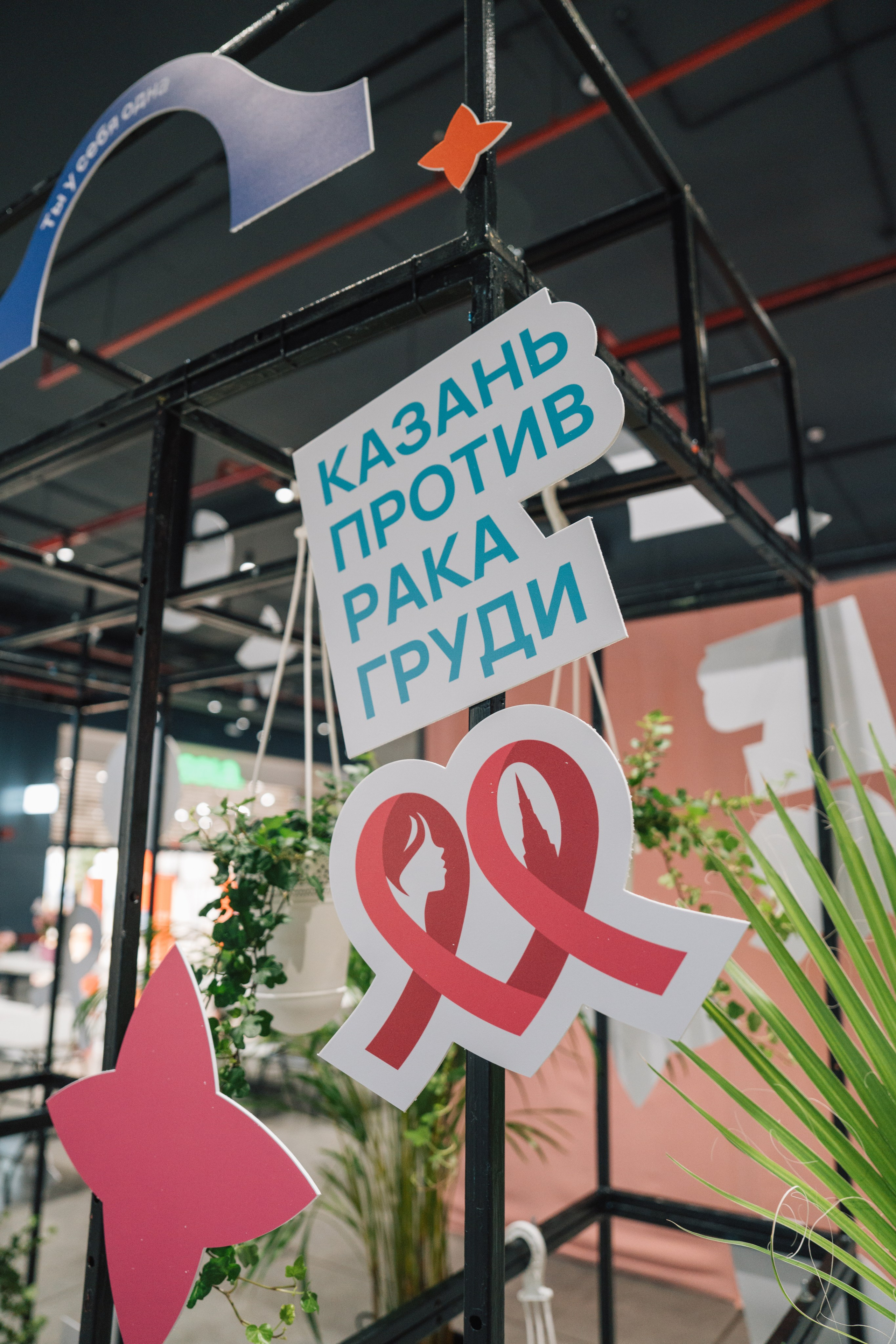 Казань против рака груди. Kaef-production