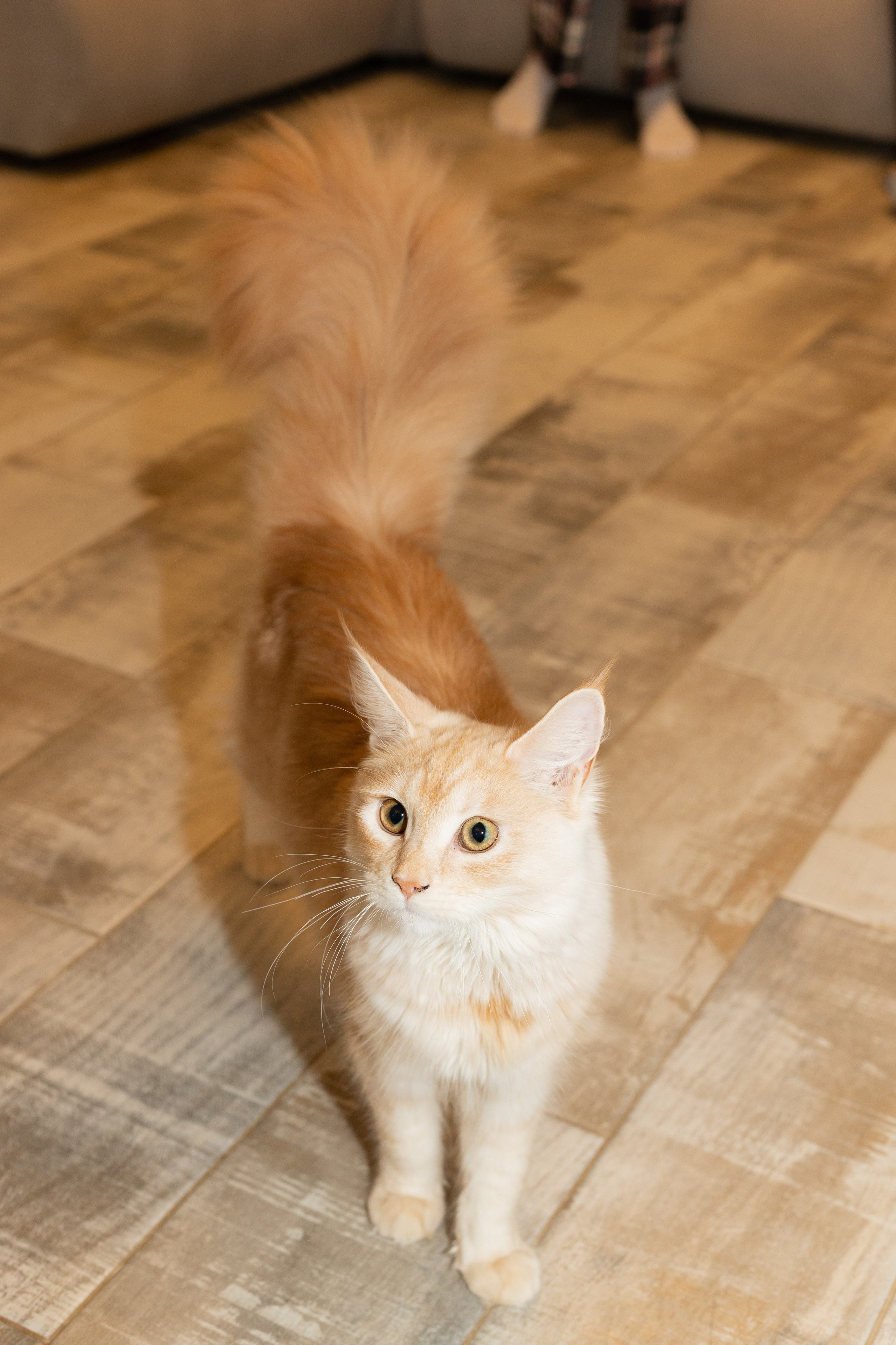 Уютная, домашняя съёмка. Свадебный и семейный фотограф в Рязани Анастасия