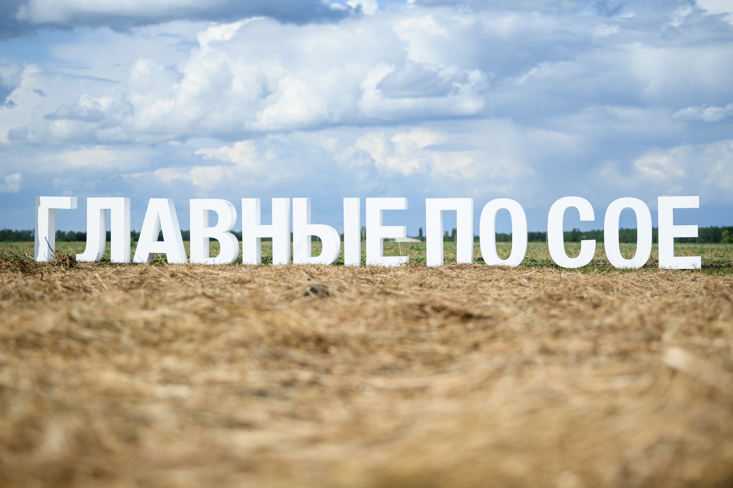 Проекты. Профессиональный фотограф Вячеслав Плацында | Липецк |