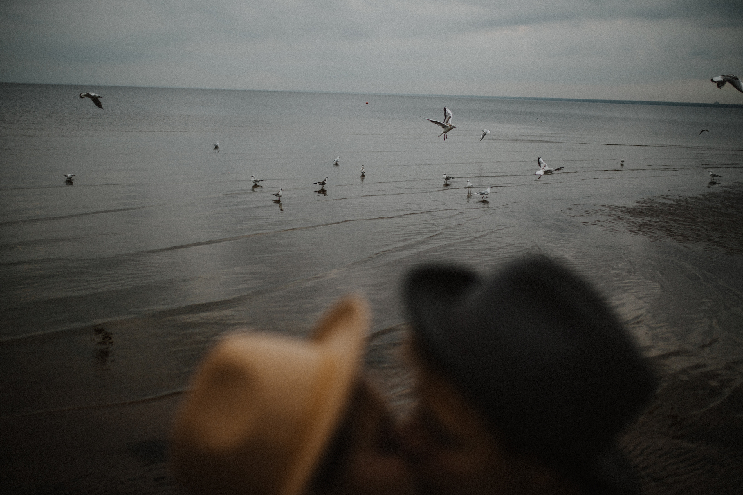 Даниил и Дарья | Венчание на море |2021. Свадебный фотограф в Санкт-Петербурге Анастасия Селиванова