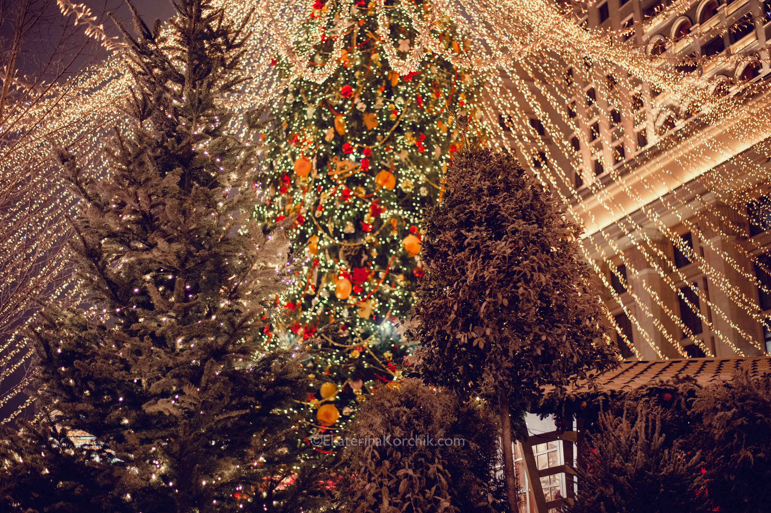 Ночная новогодняя Москва. Портретный фотограф в Москве, Московской области. Деловой портрет