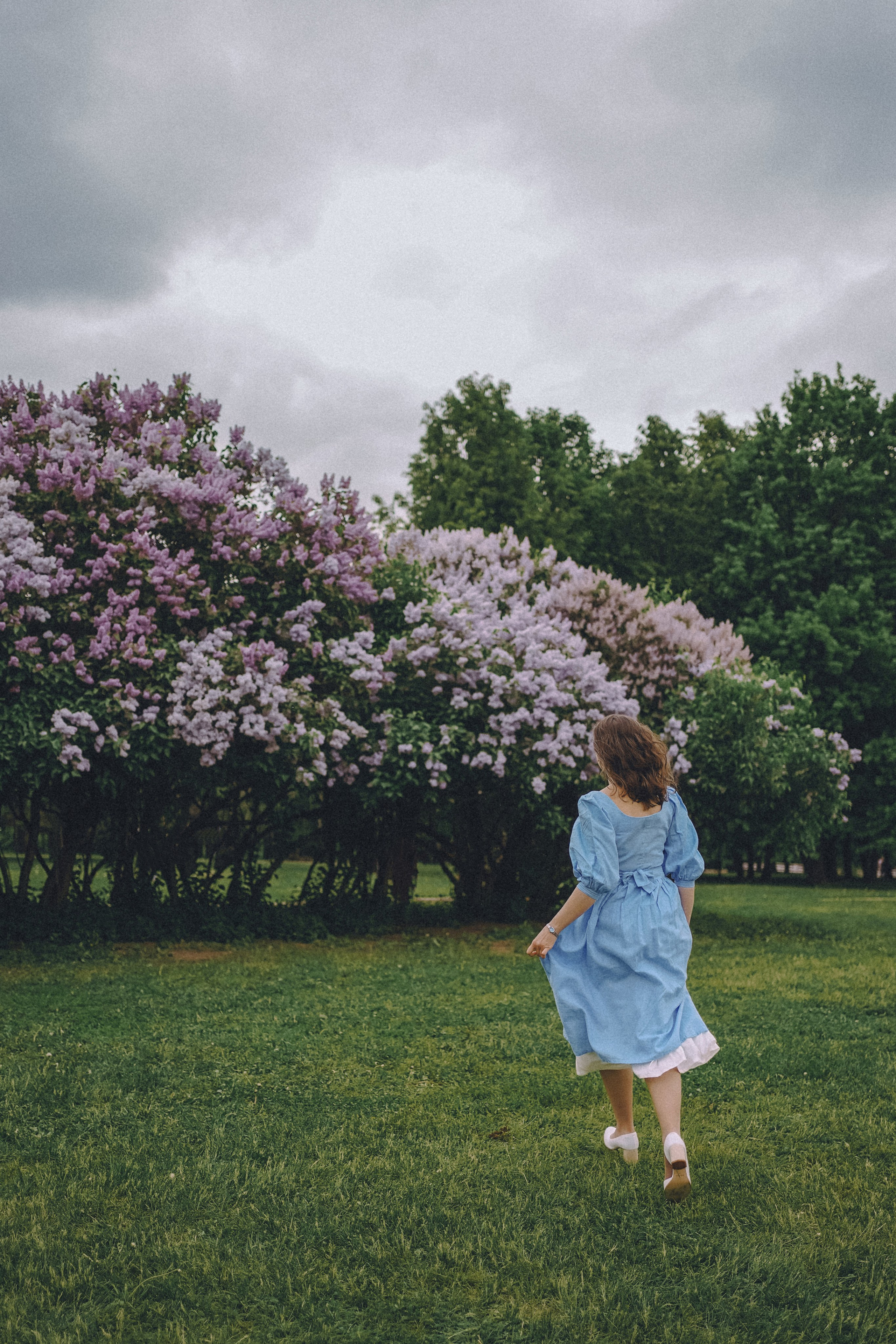 Сиреневый сон. Фотограф Наталья Колганова