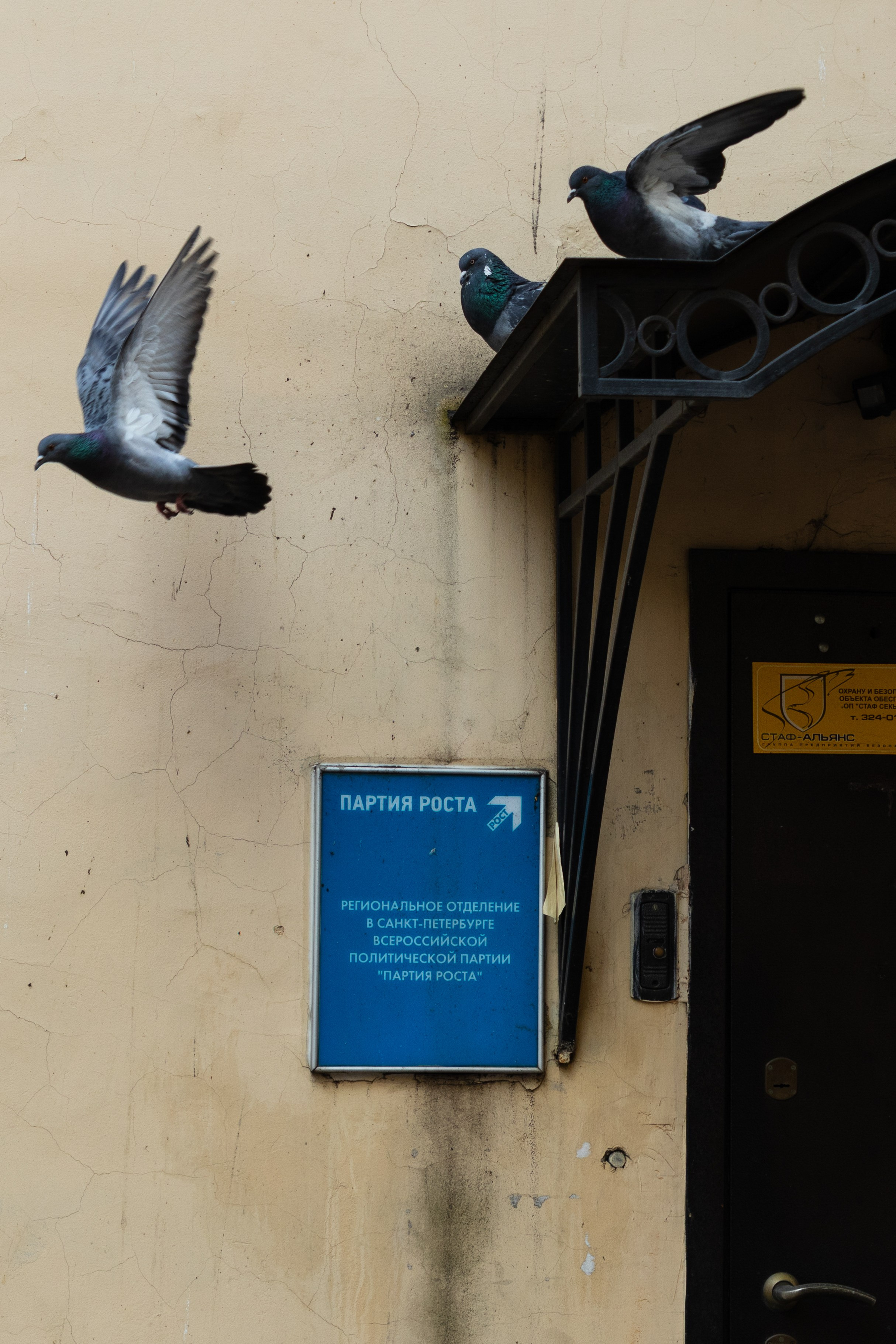 Уличная фотография. Репортажный фотограф в СПб