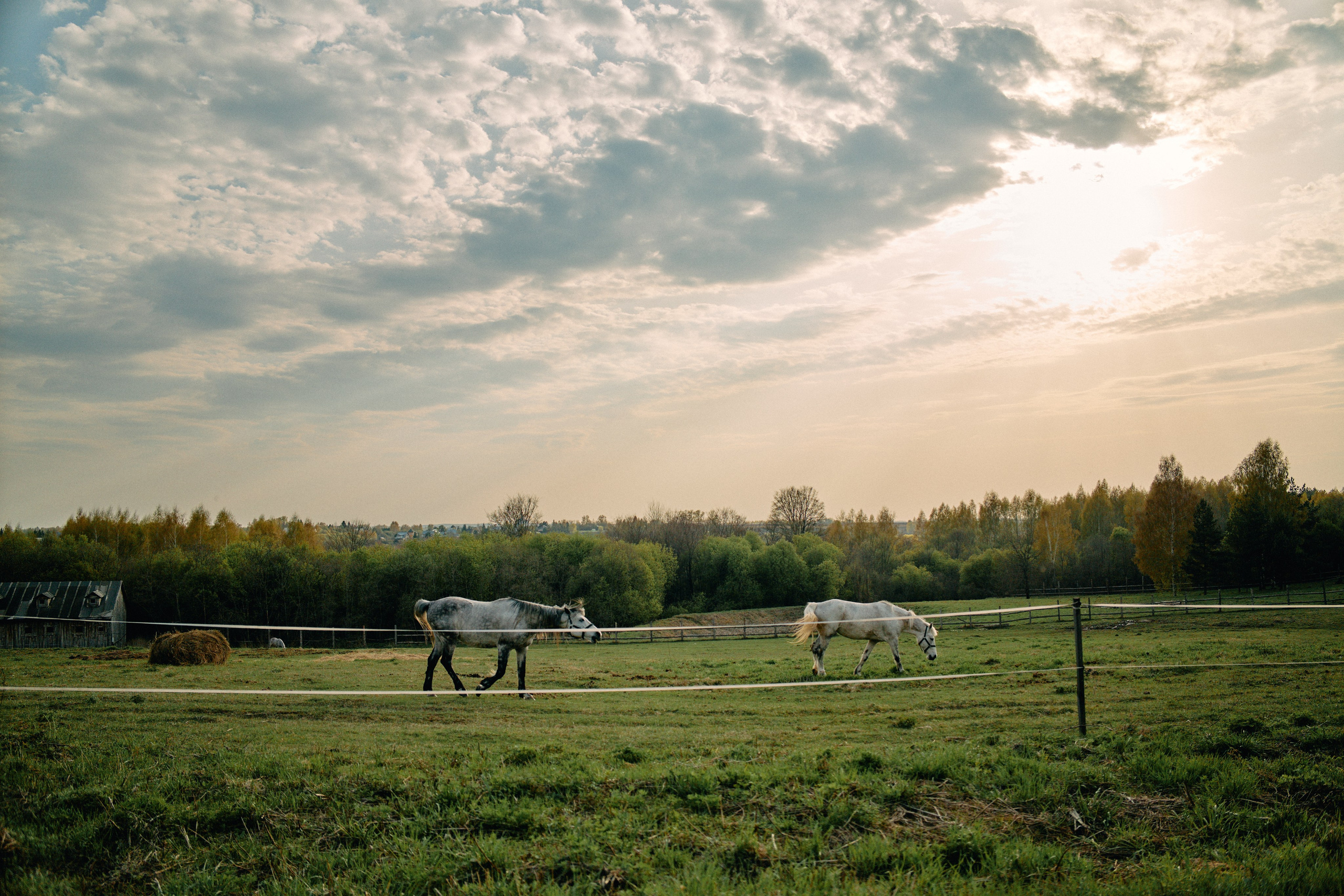 Бутик-отель Поле летом. Профессиональный Фотограф во Владимире, в Москве и в Суздале — Полина Романычева