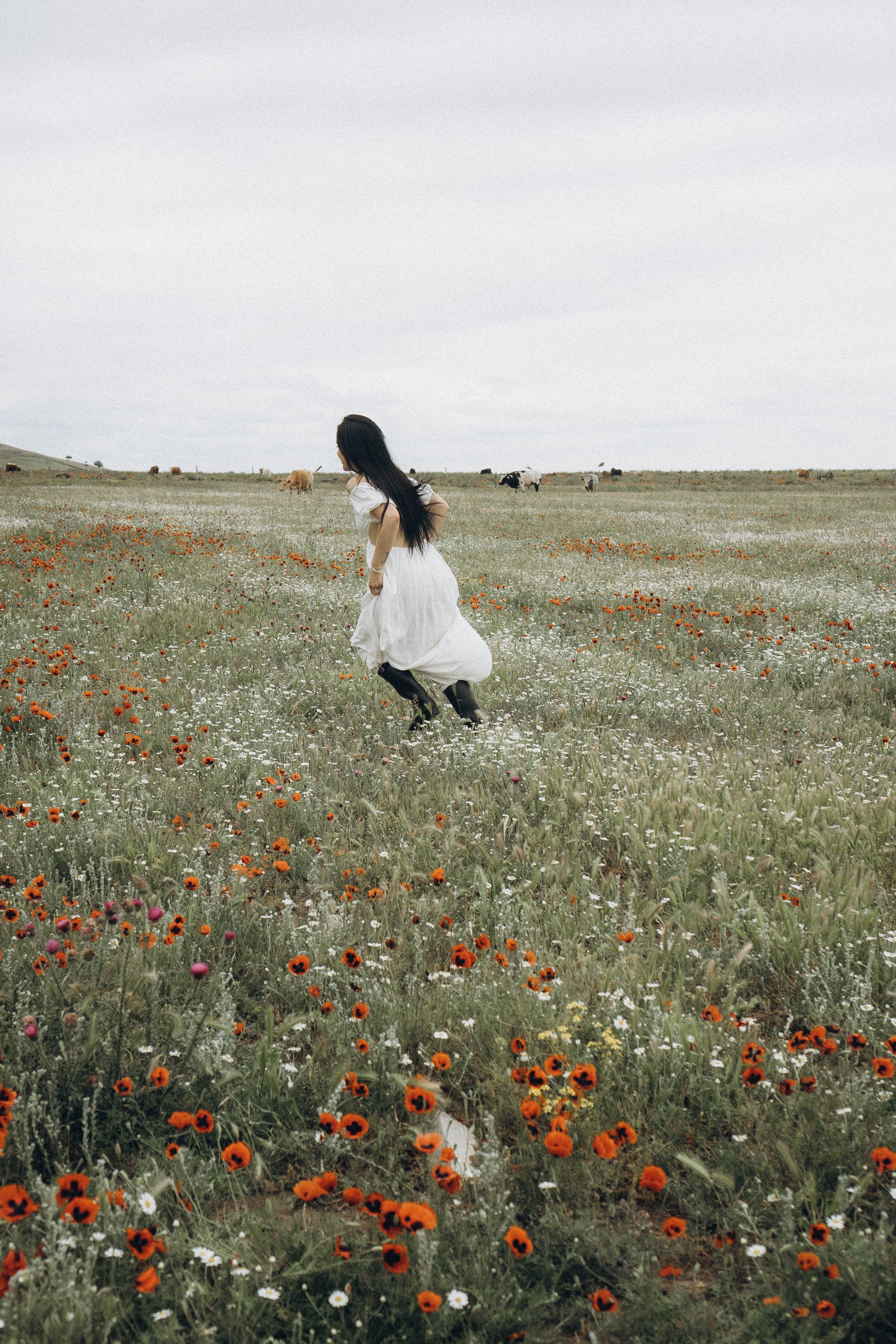 Маковое поле. Профессиональный фотограф, Санкт-Петербург — Виктория Богомолова