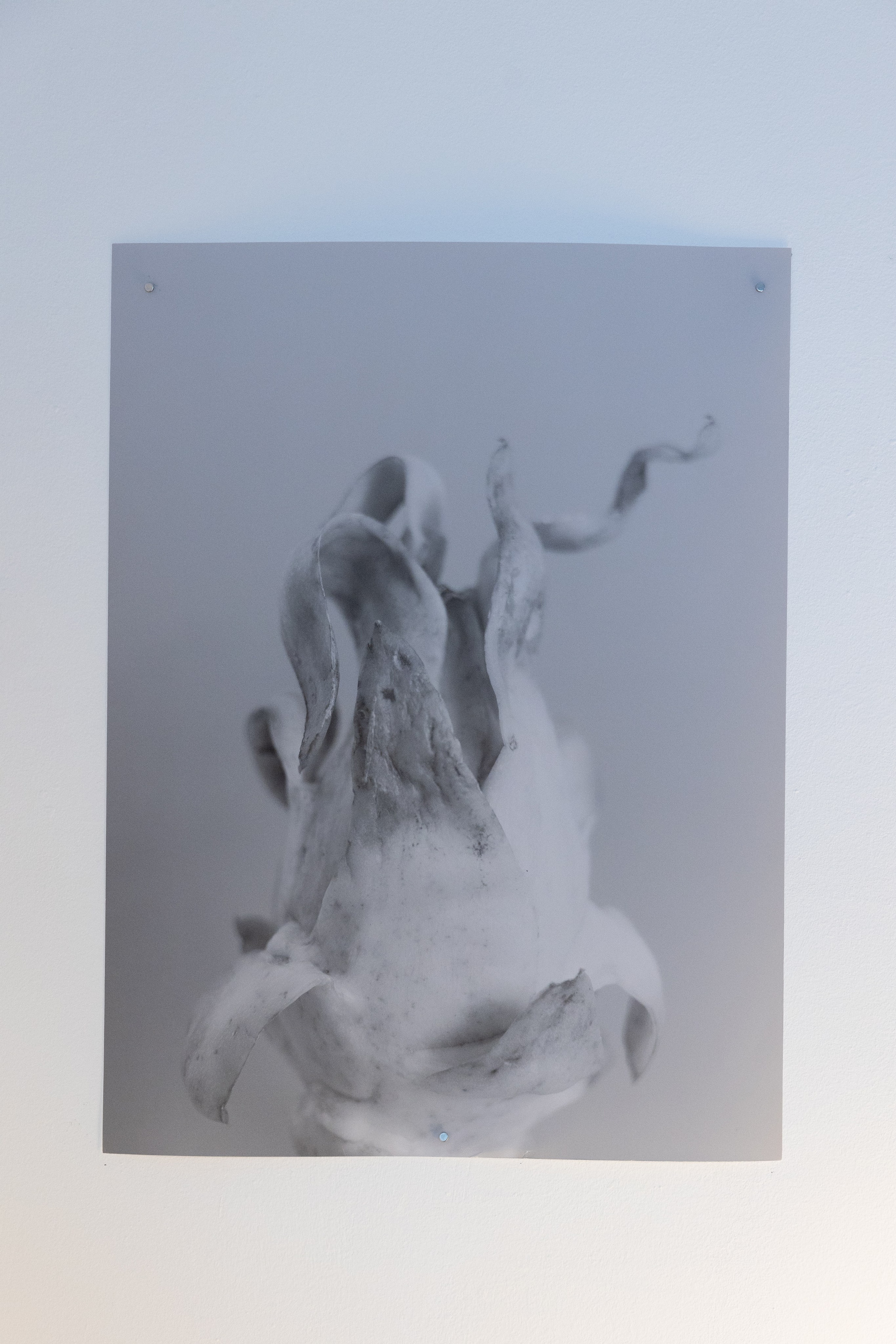 Personal exhibition Interior landscape 2025. Фотограф алина стерхова, алина стерхова фотограф, фотограф москва