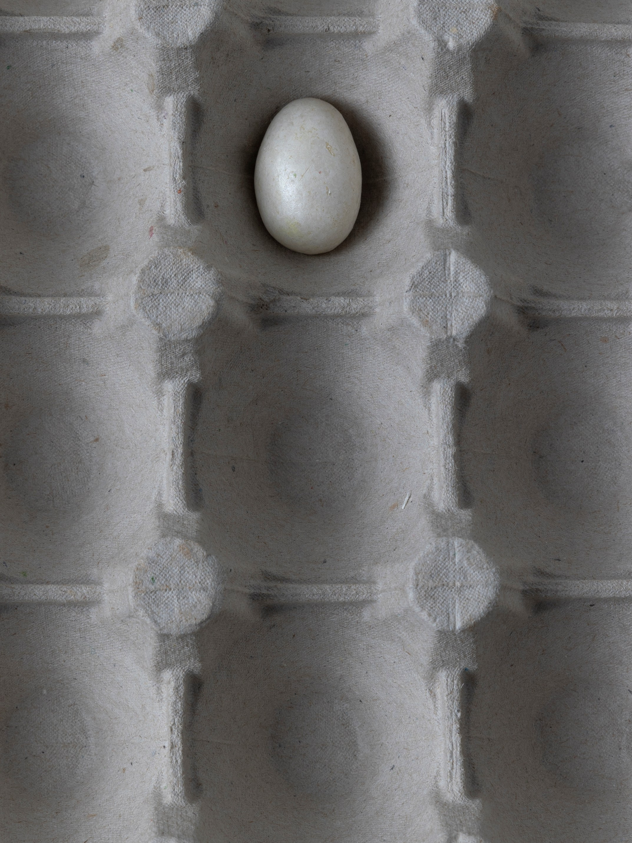 Art prints. Фотограф алина стерхова, алина стерхова фотограф, фотограф москва