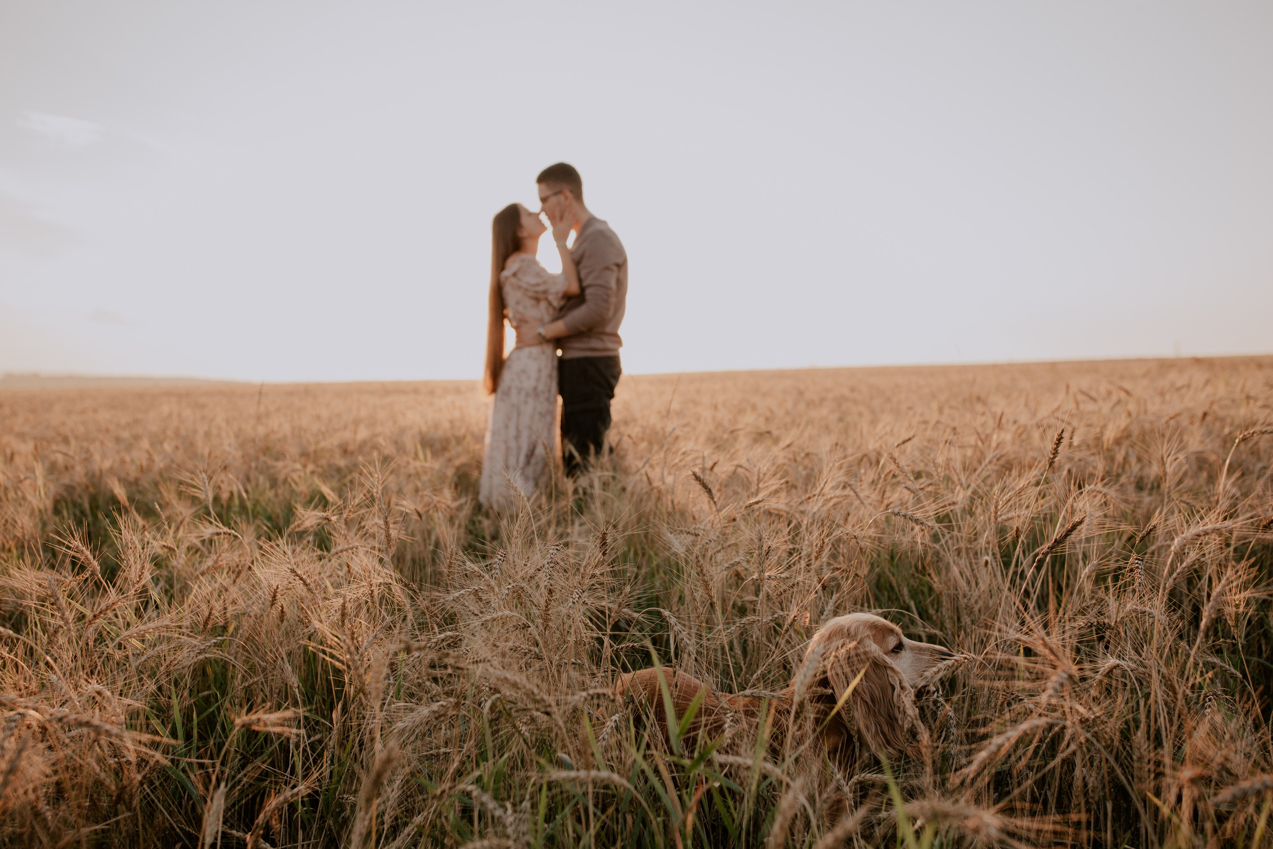 Валерий и Яна. Свадебный фотограф