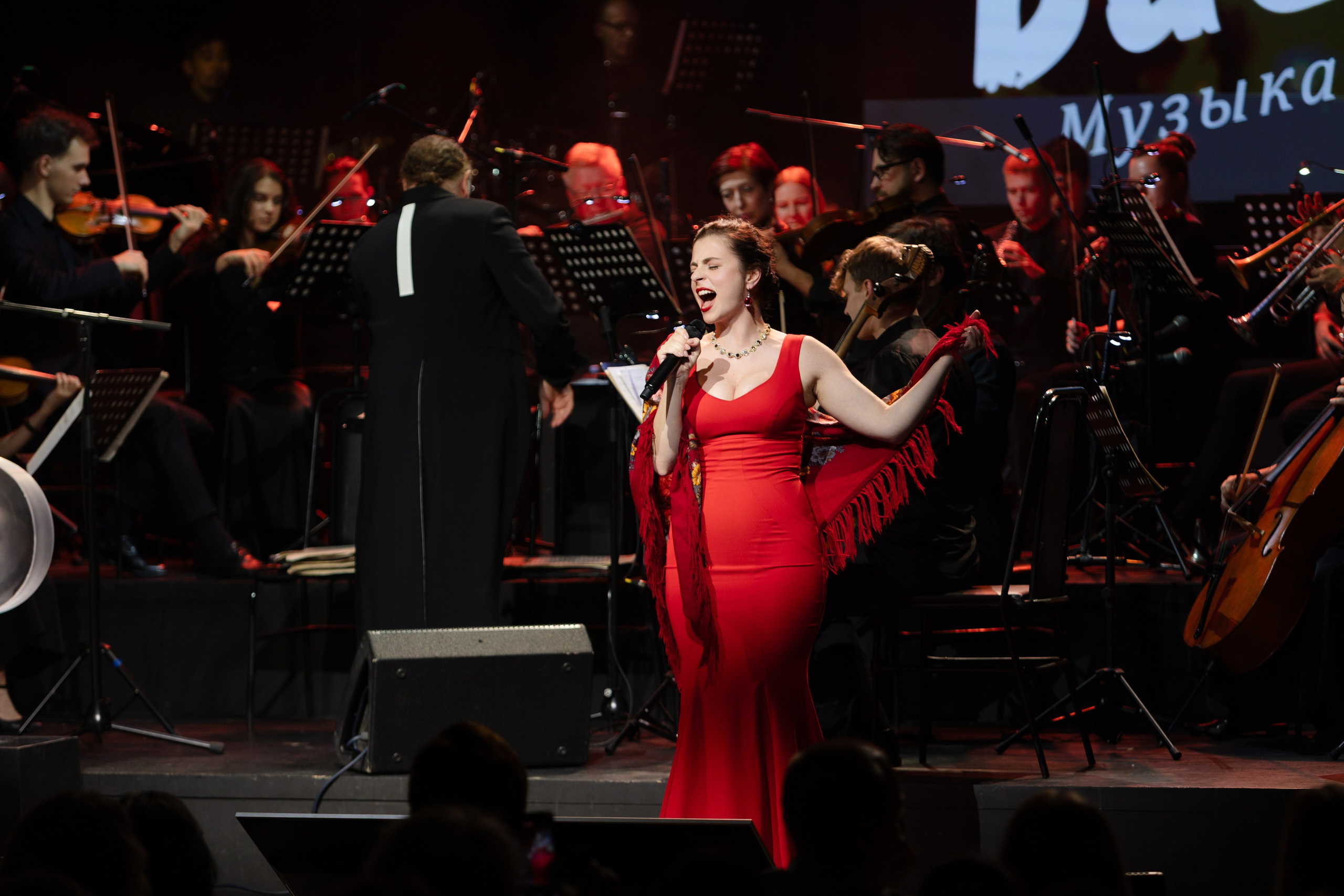 Концерт «Баснер. Музыка сердца». Репортажный фотограф в Санкт-Петербурге и Москве Мария Ежова