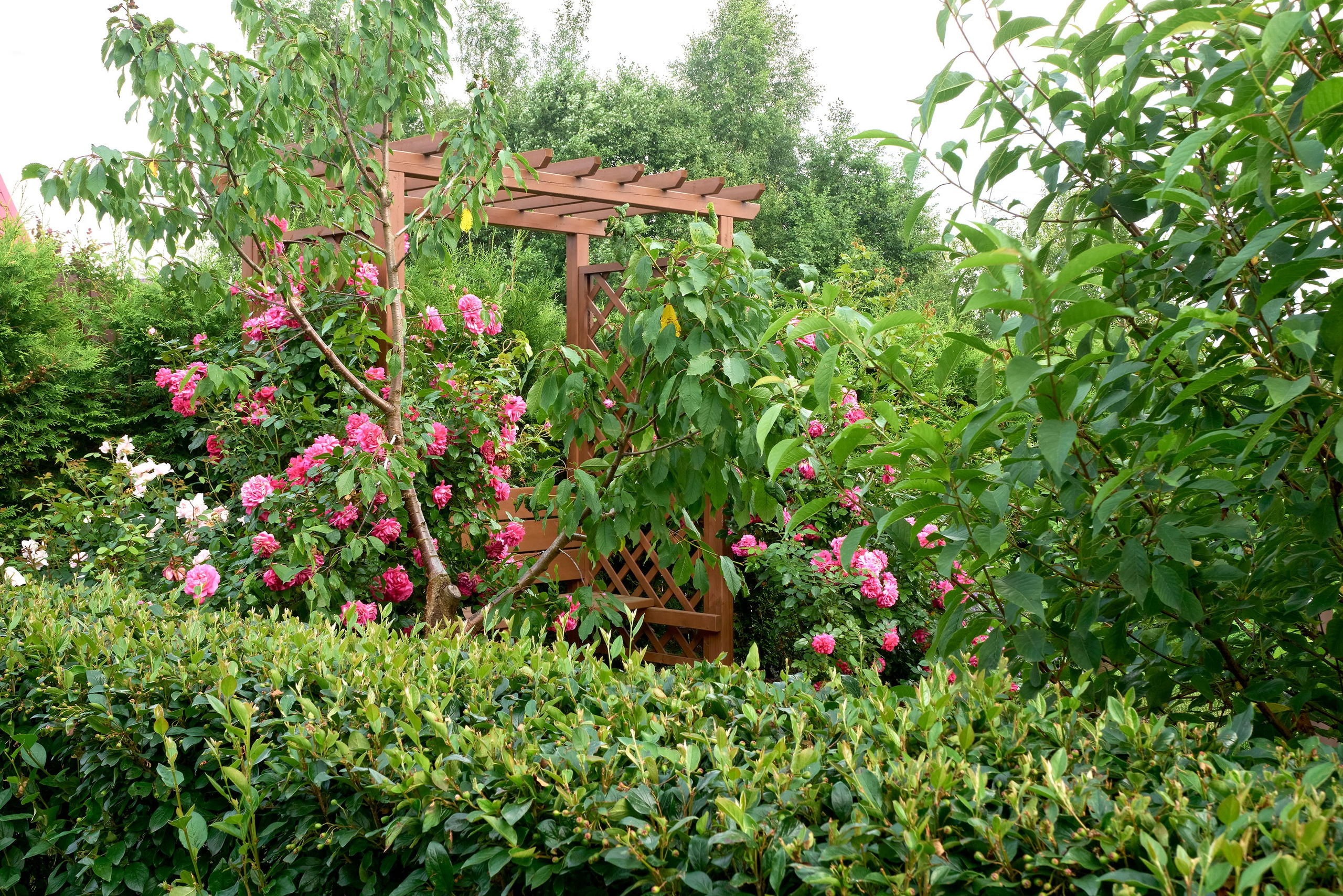 Ландшафтный и интерьерный фотограф Наталья Соловьева. Фотосъемка частного сада в&nbsp;Ломоносовском районе для ландшафтного дизайнера Анаит Акопян и&nbsp;студии ВСЕВСАД | interioto