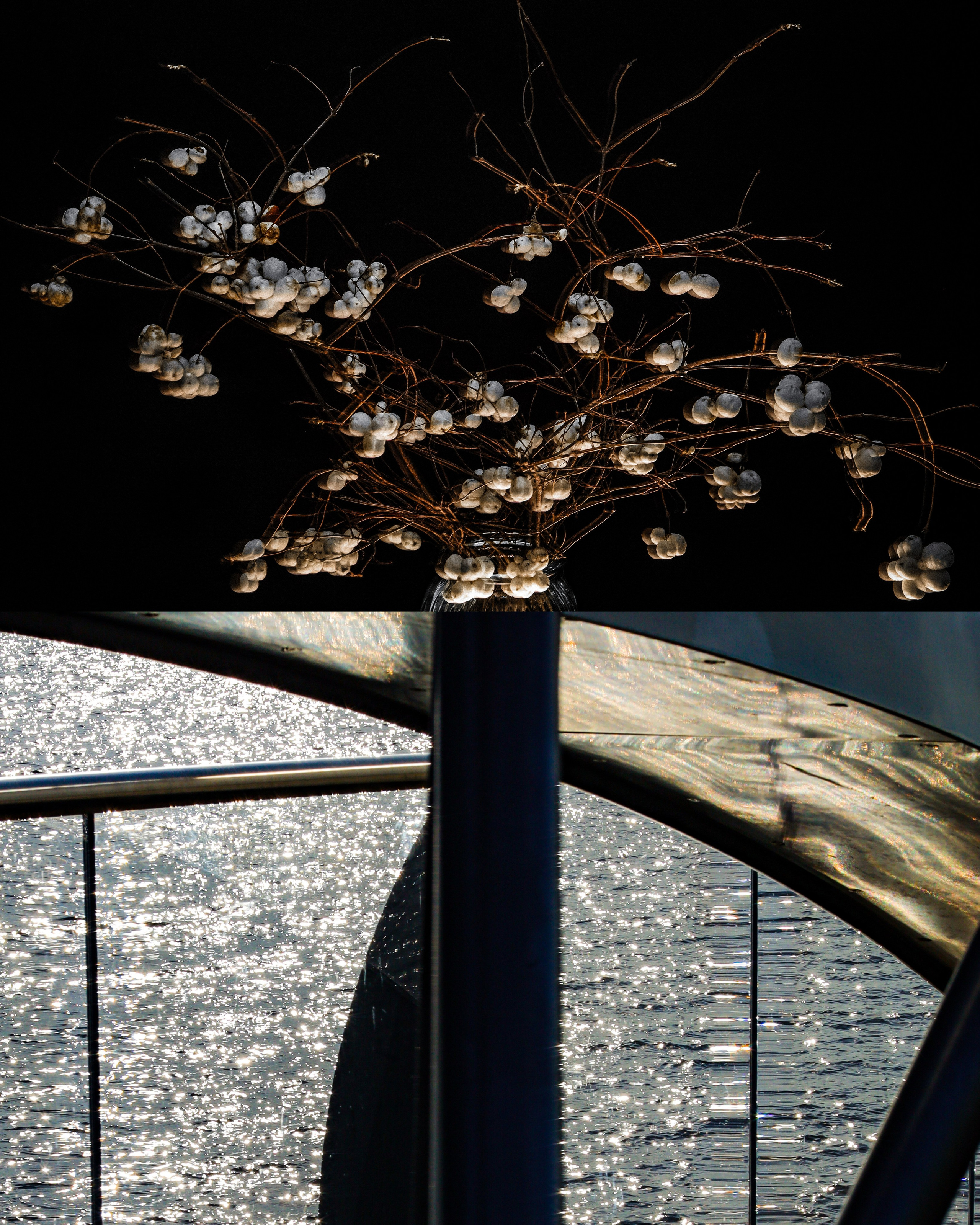 " Я никому не дам отчёта и не сочту своей виной , что видели  во мне кого - то не совпадавшего со мной " 