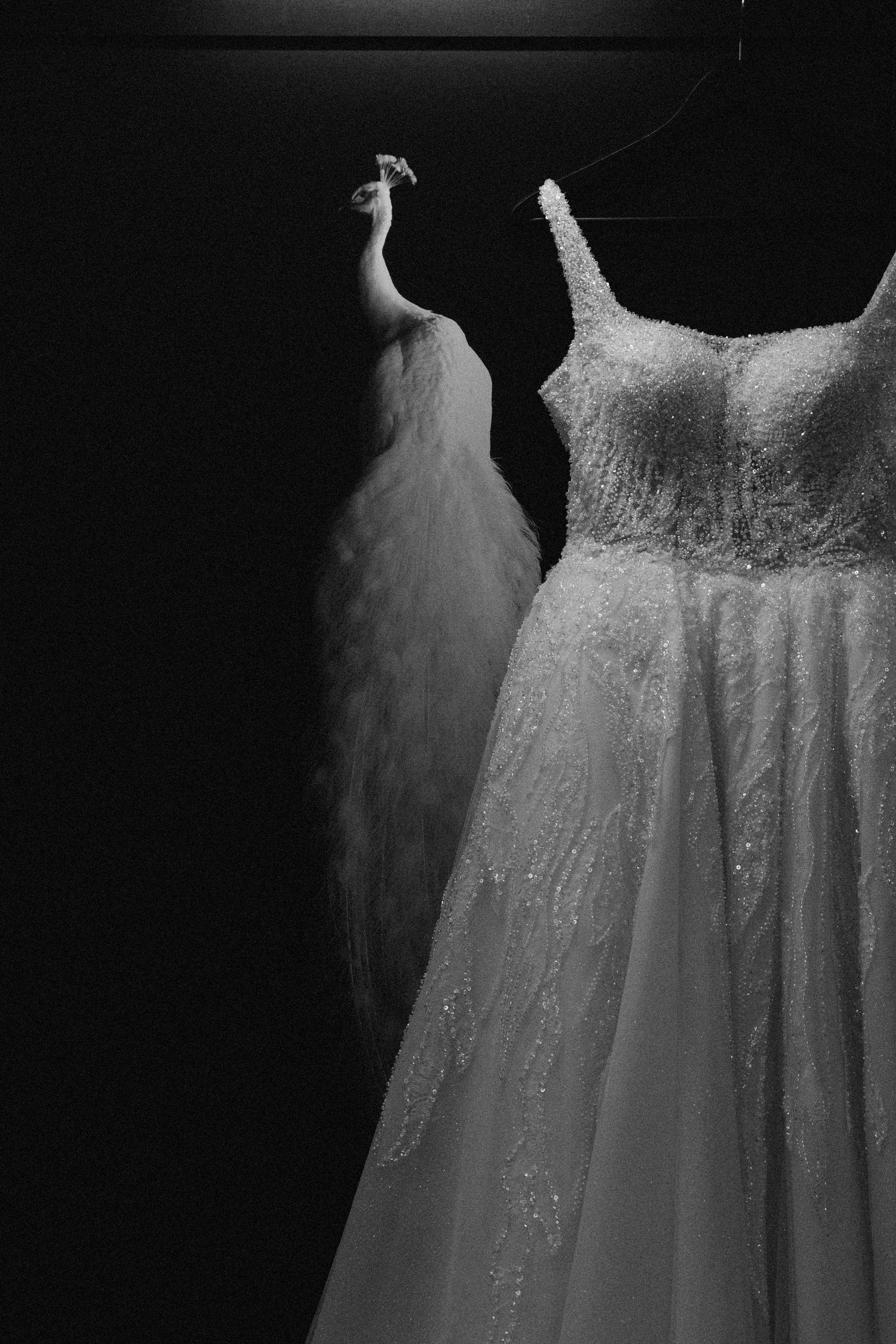 Свадебный фотограф Астана | BIRLIK AZAMAT