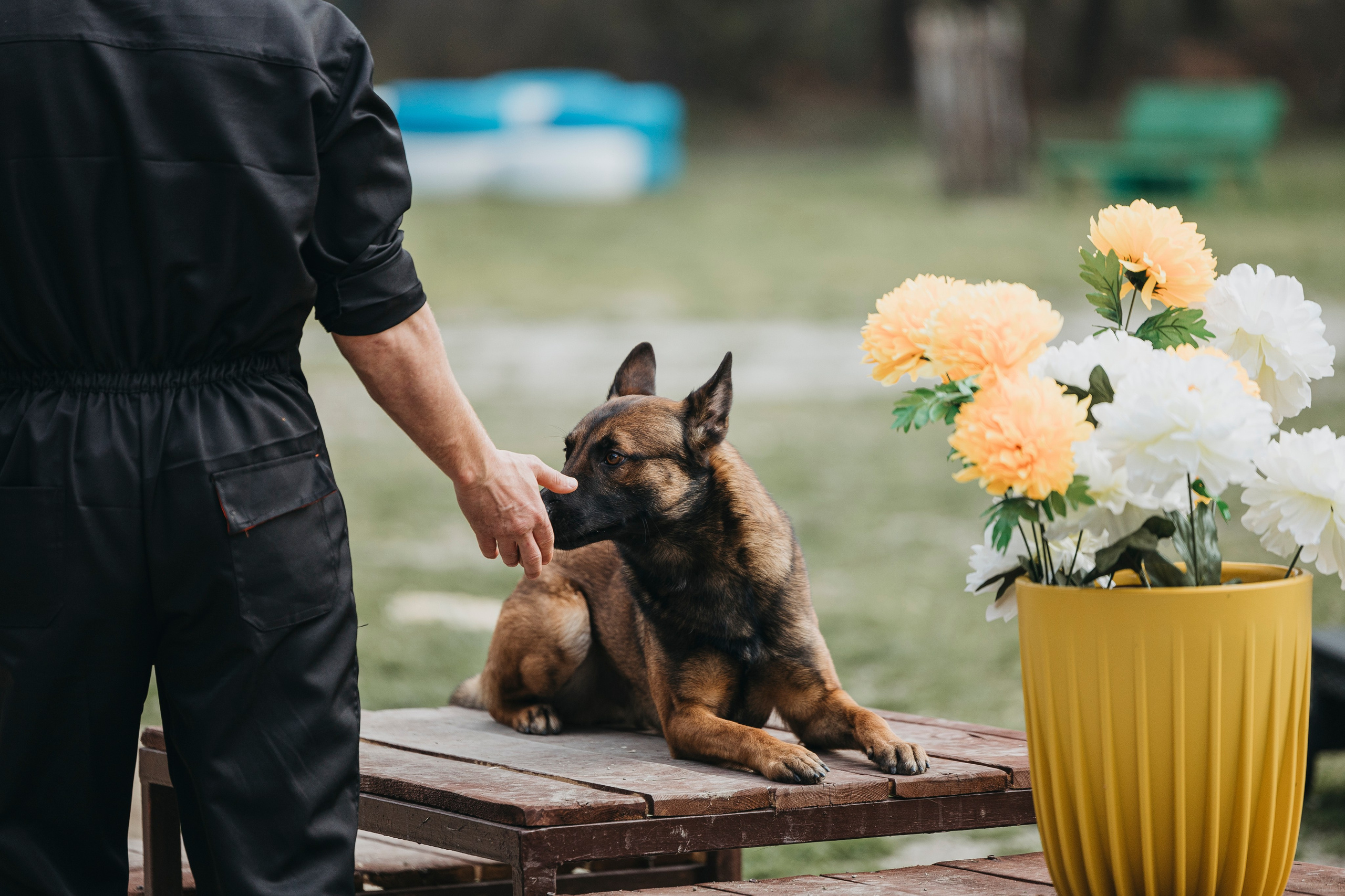Геленджик Мондьоринг. Фотограф-анималист Анна Маринич