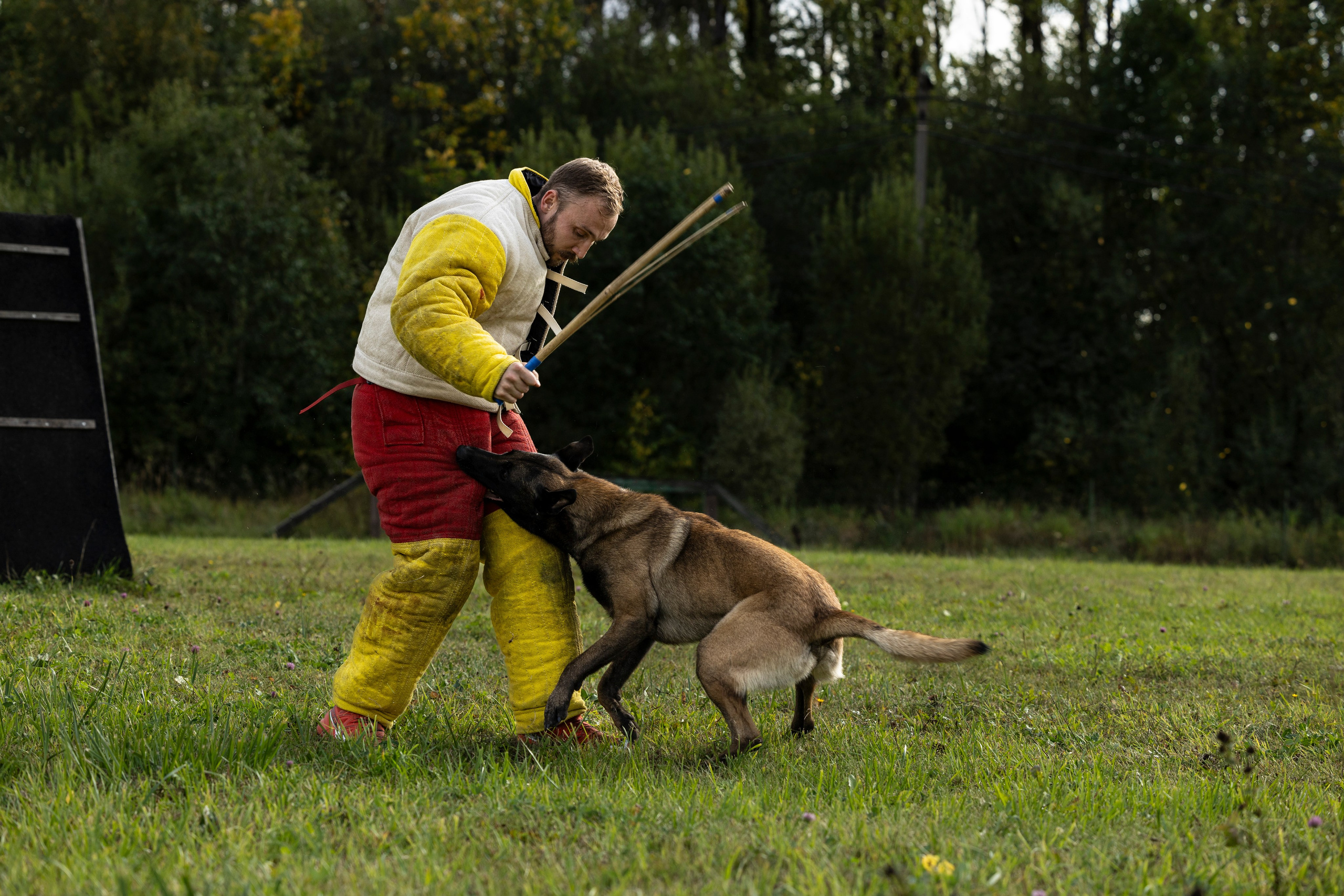 Испытания по Мондьорингу г. Пушкин. Фотограф-анималист Анна Маринич