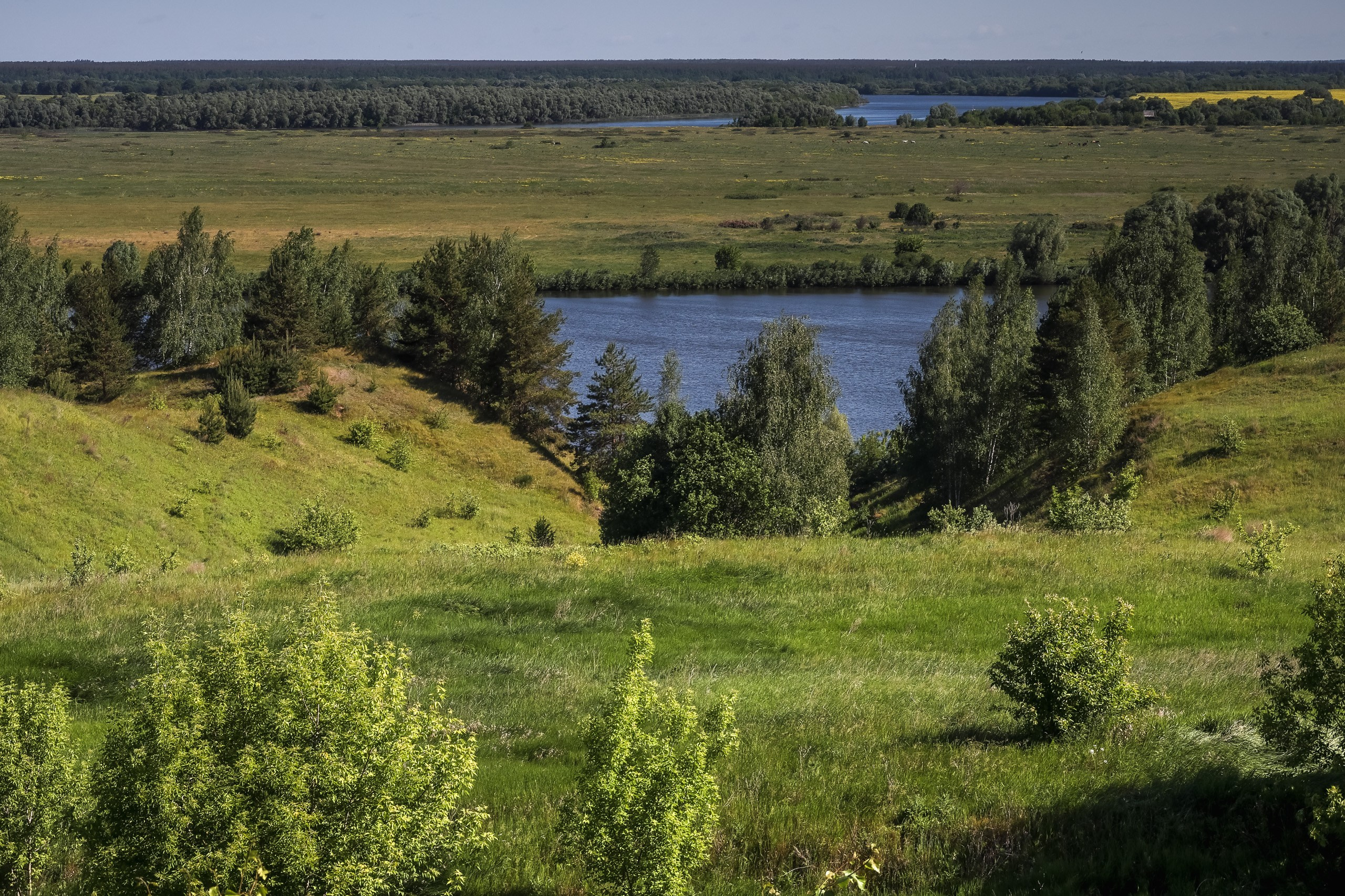 Вид на Оку в Константиново - родине С. Есенина