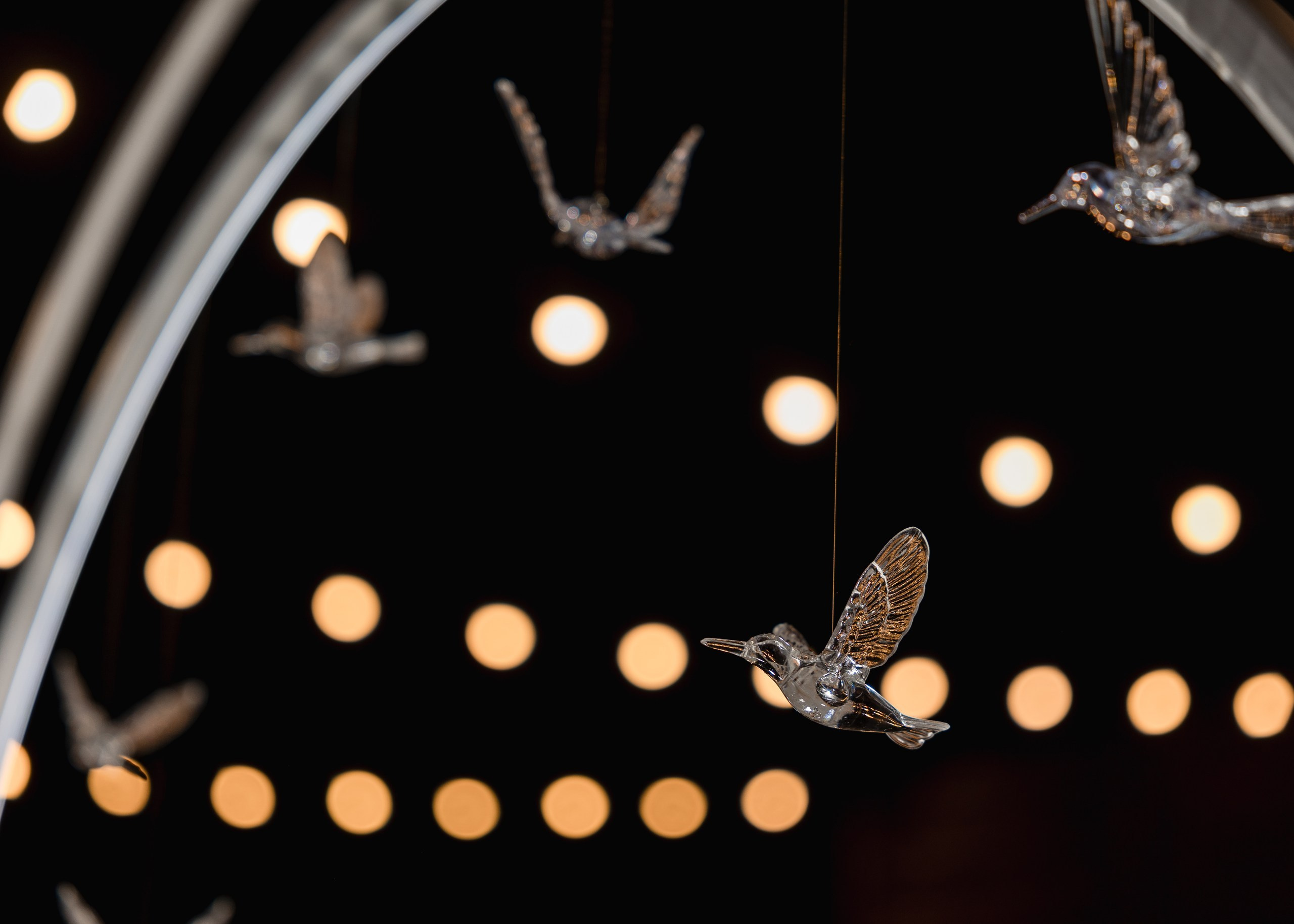 16|09|23. Организатор Татьяна Осокина