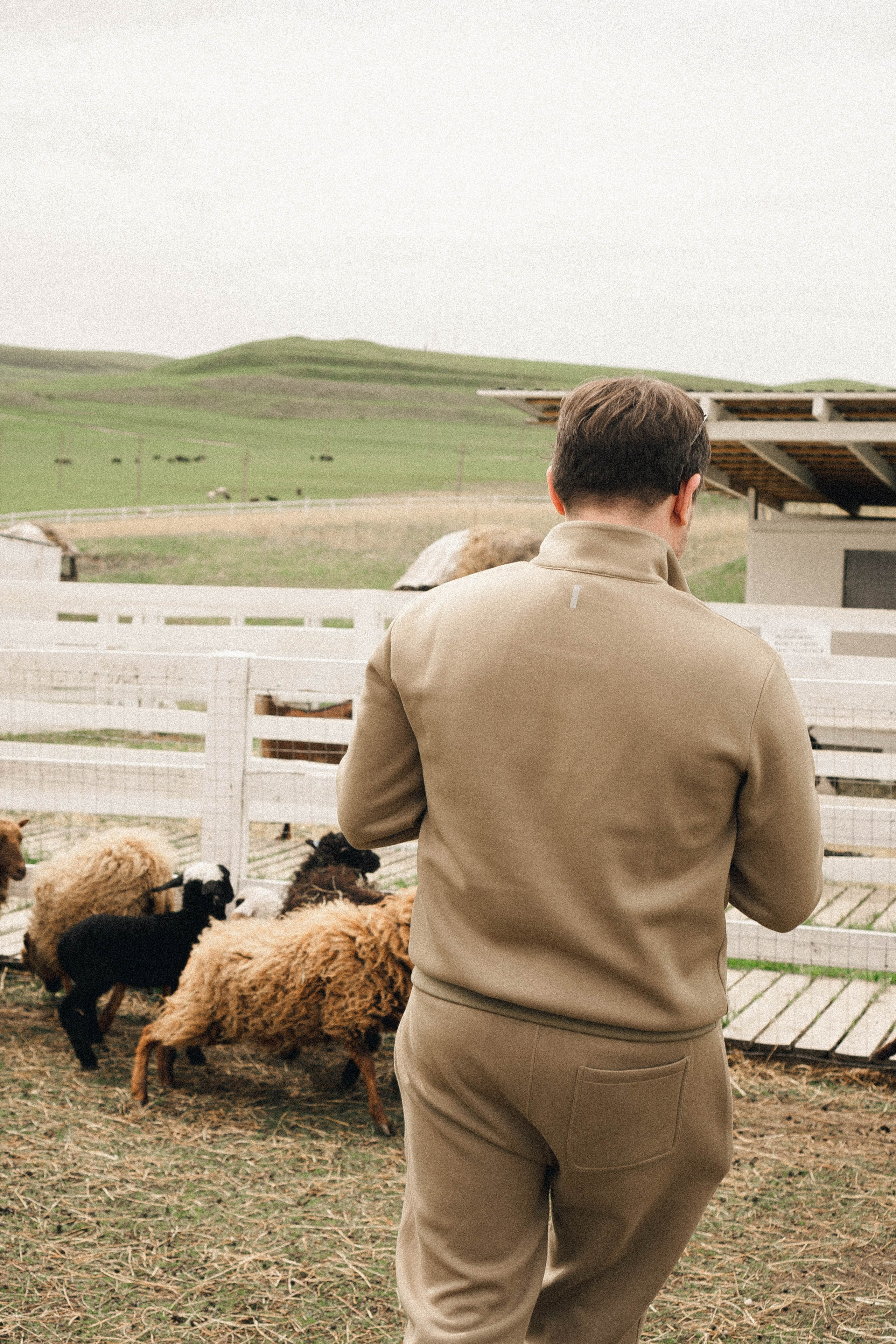 Ферма Альпак. Профессиональный фотограф, Санкт-Петербург — Виктория Богомолова