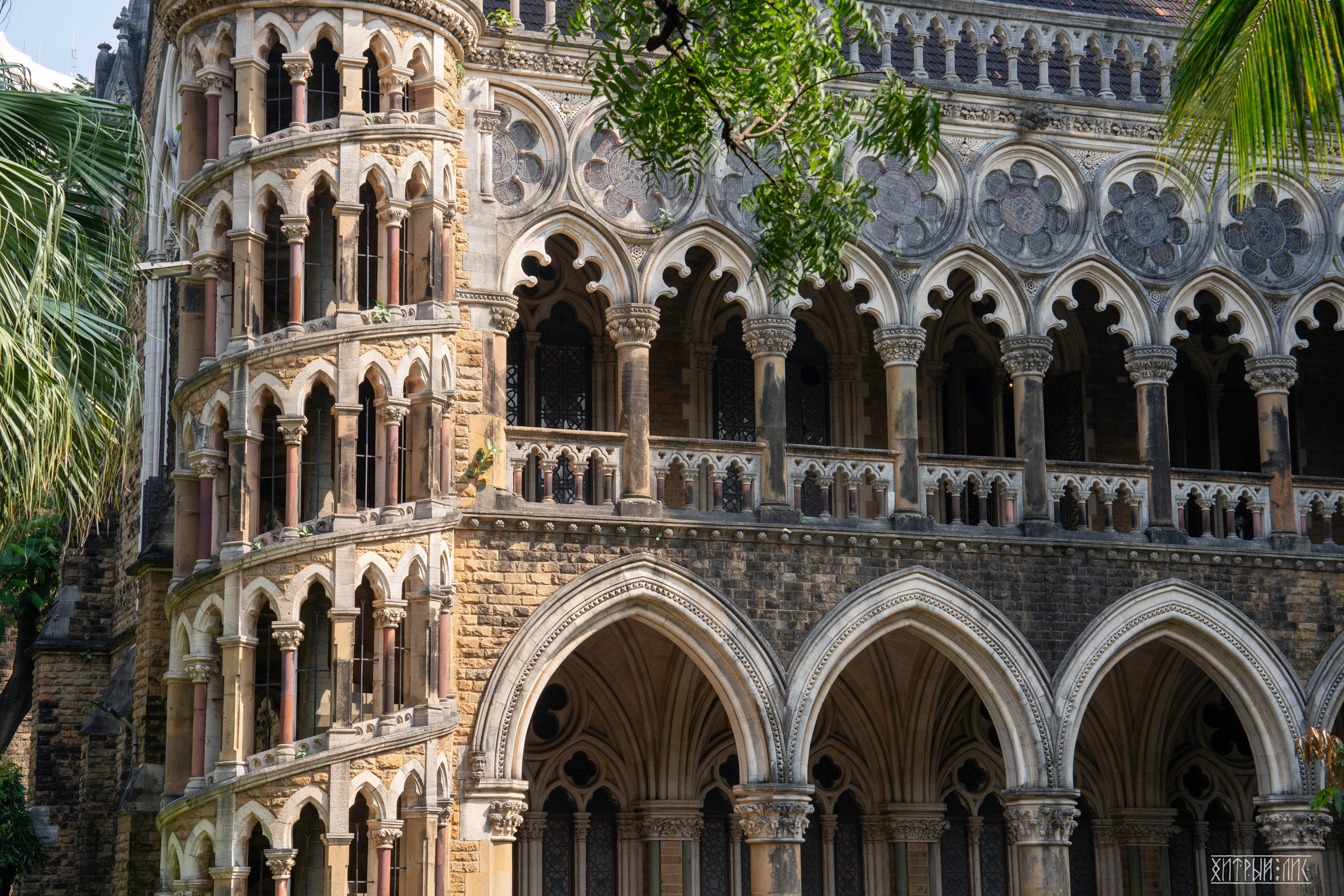 Гоа-Мумбаи. Фотограф-путешественник Самойлов Максим «Sly Fox»