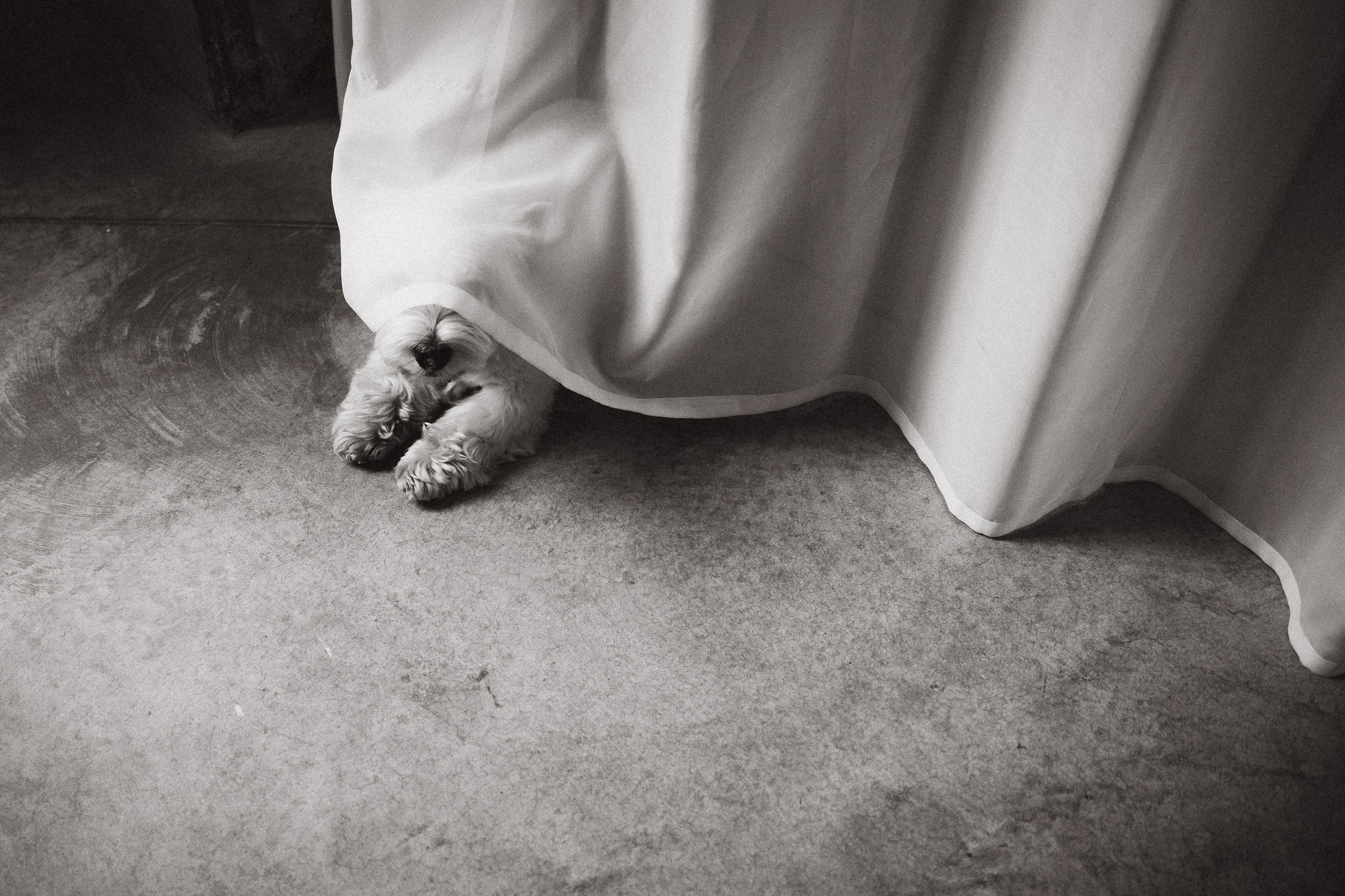 Вера и Бакс